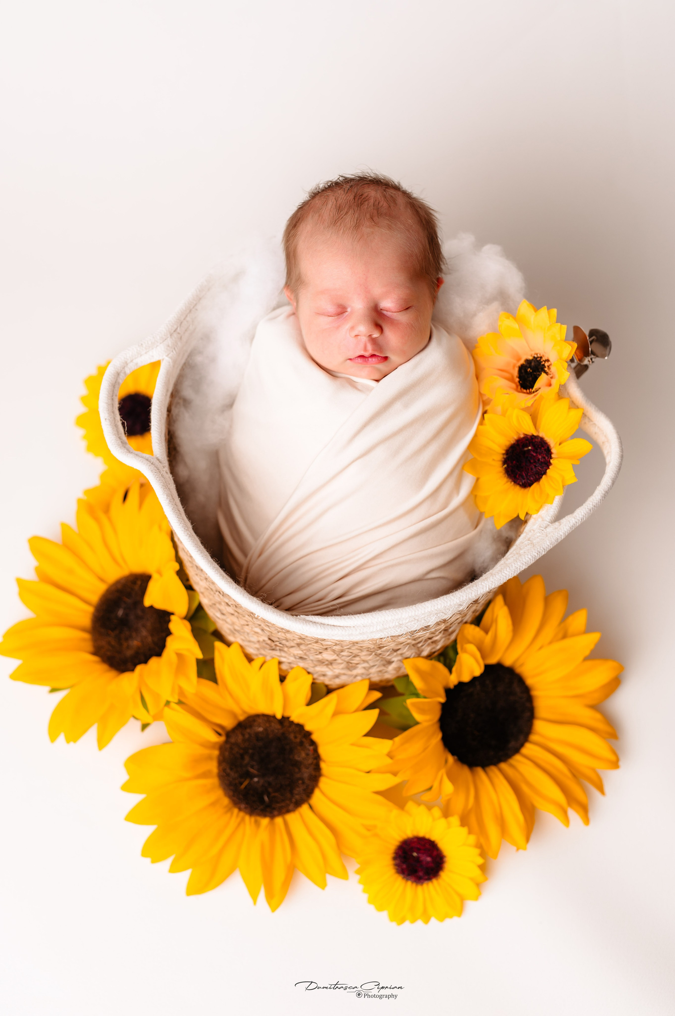 A sweet little angel. Dumitrasca Ciprian Photography