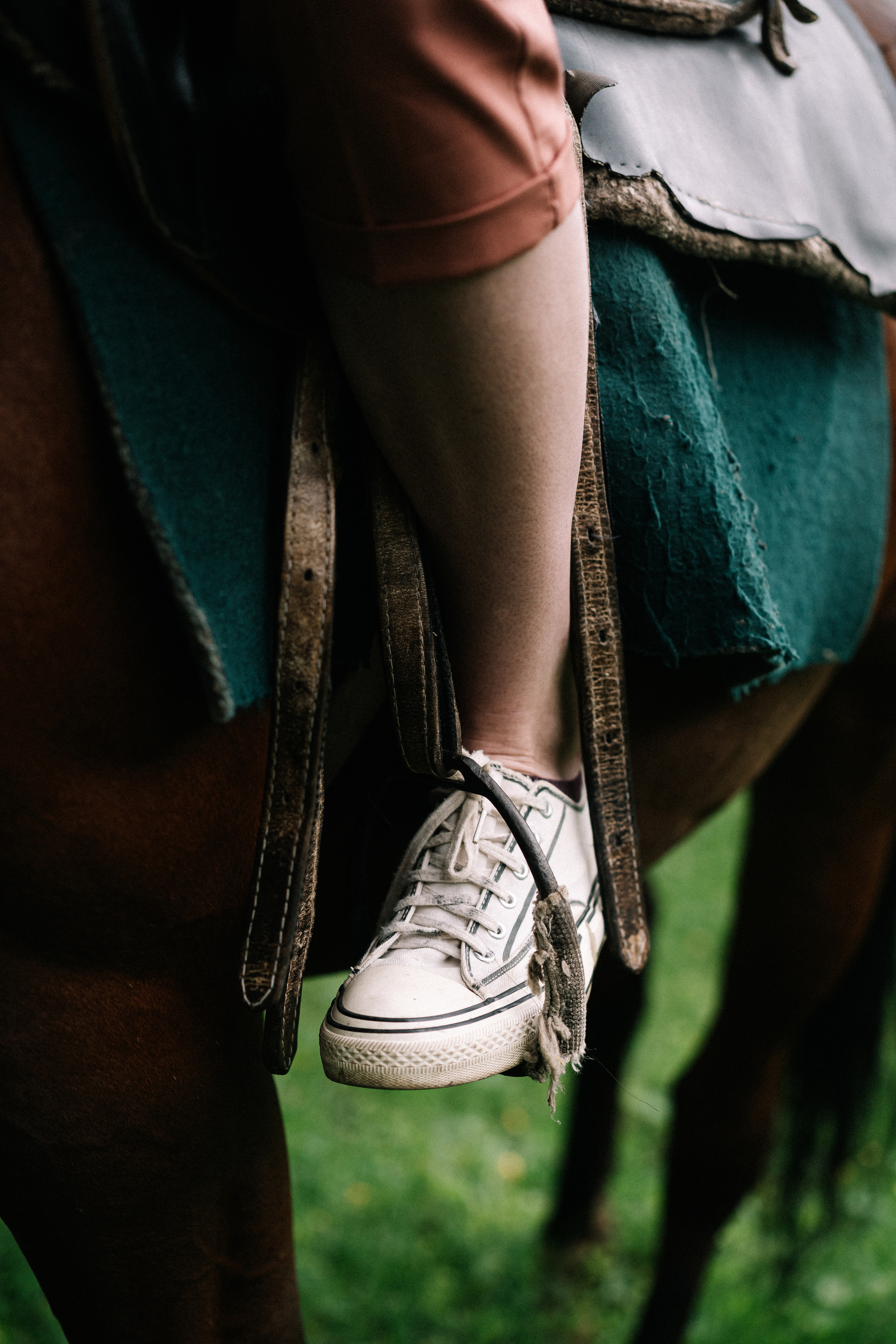 Photo of a couple in the forest. Portrait and wedding photographer in New York