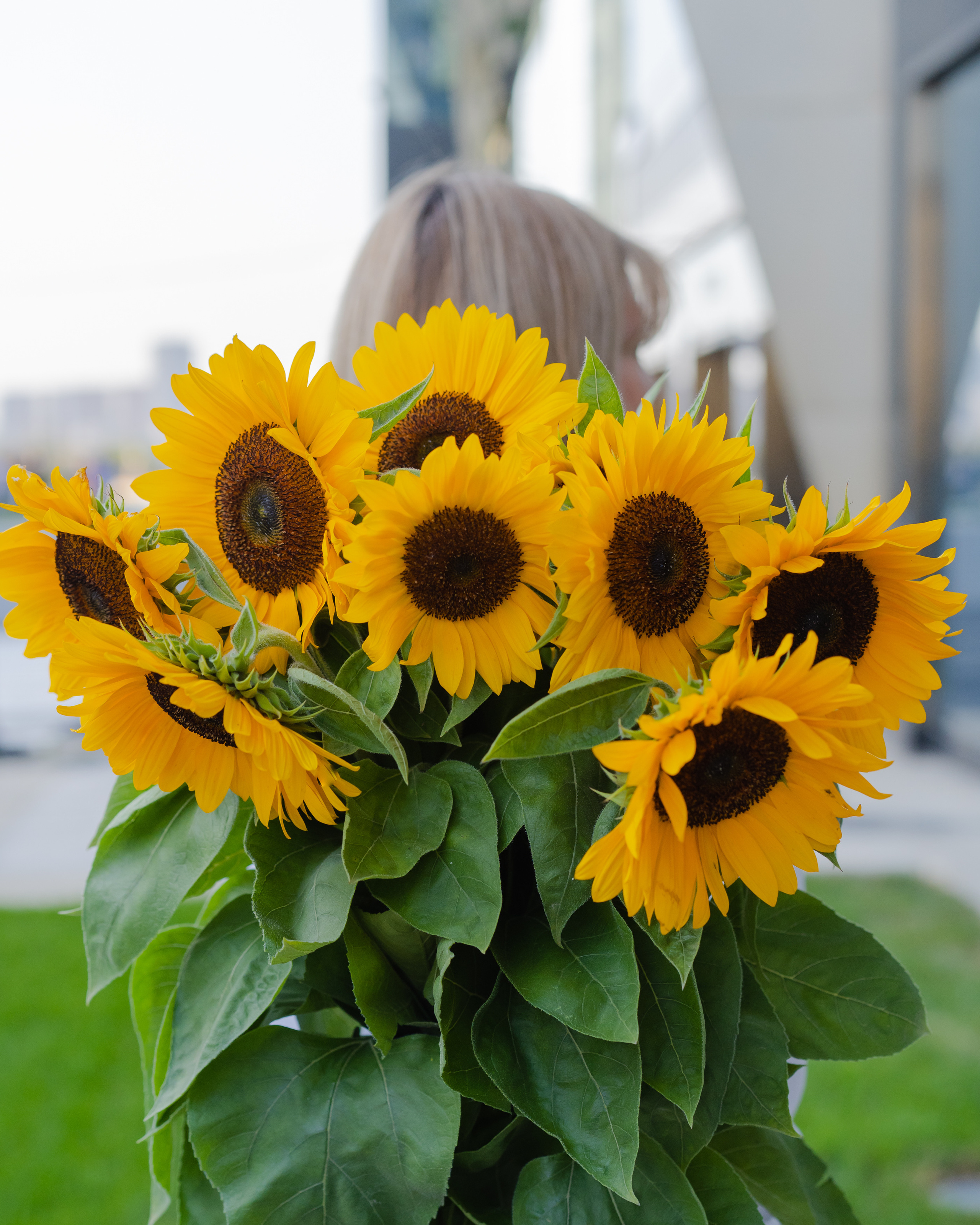 Photography for a flower boutique. Portrait and wedding photographer in New York