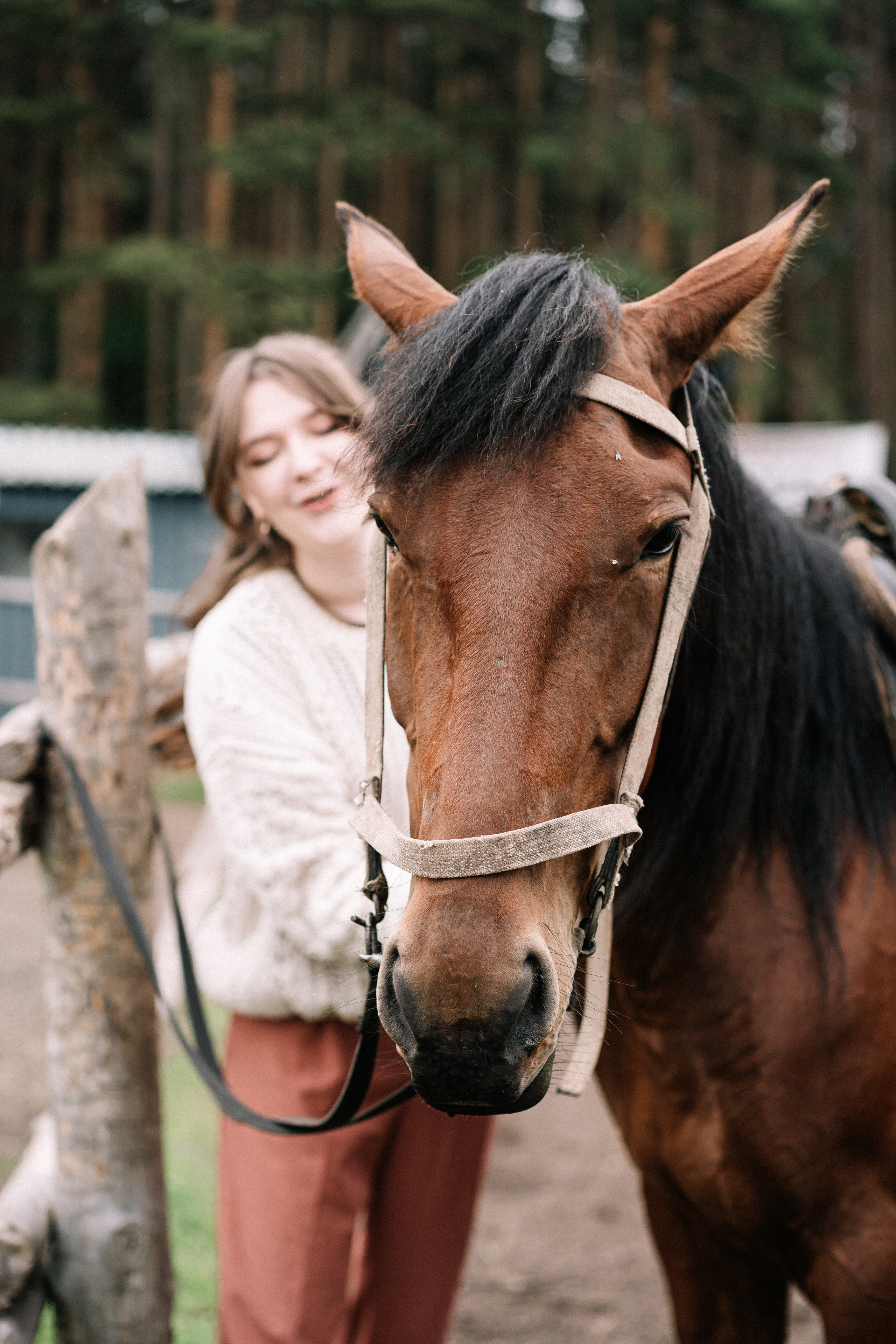 Photo of a couple in the forest. Portrait and wedding photographer in New York