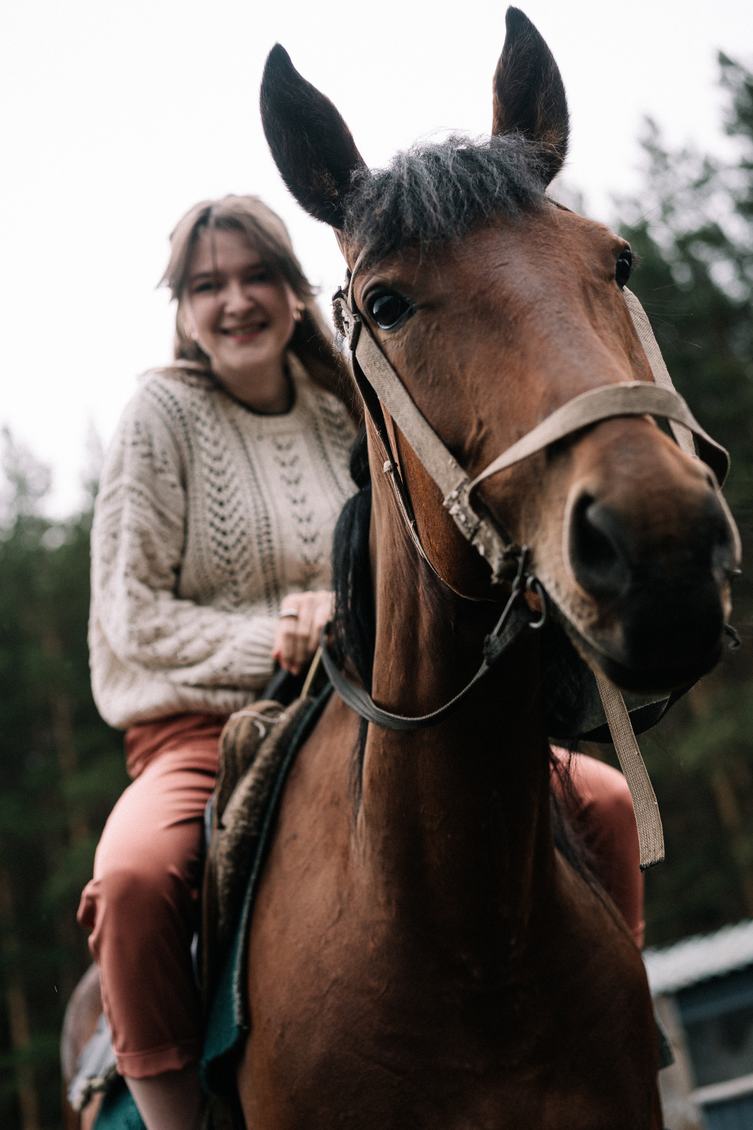 Photo of a couple in the forest. Portrait and wedding photographer in New York