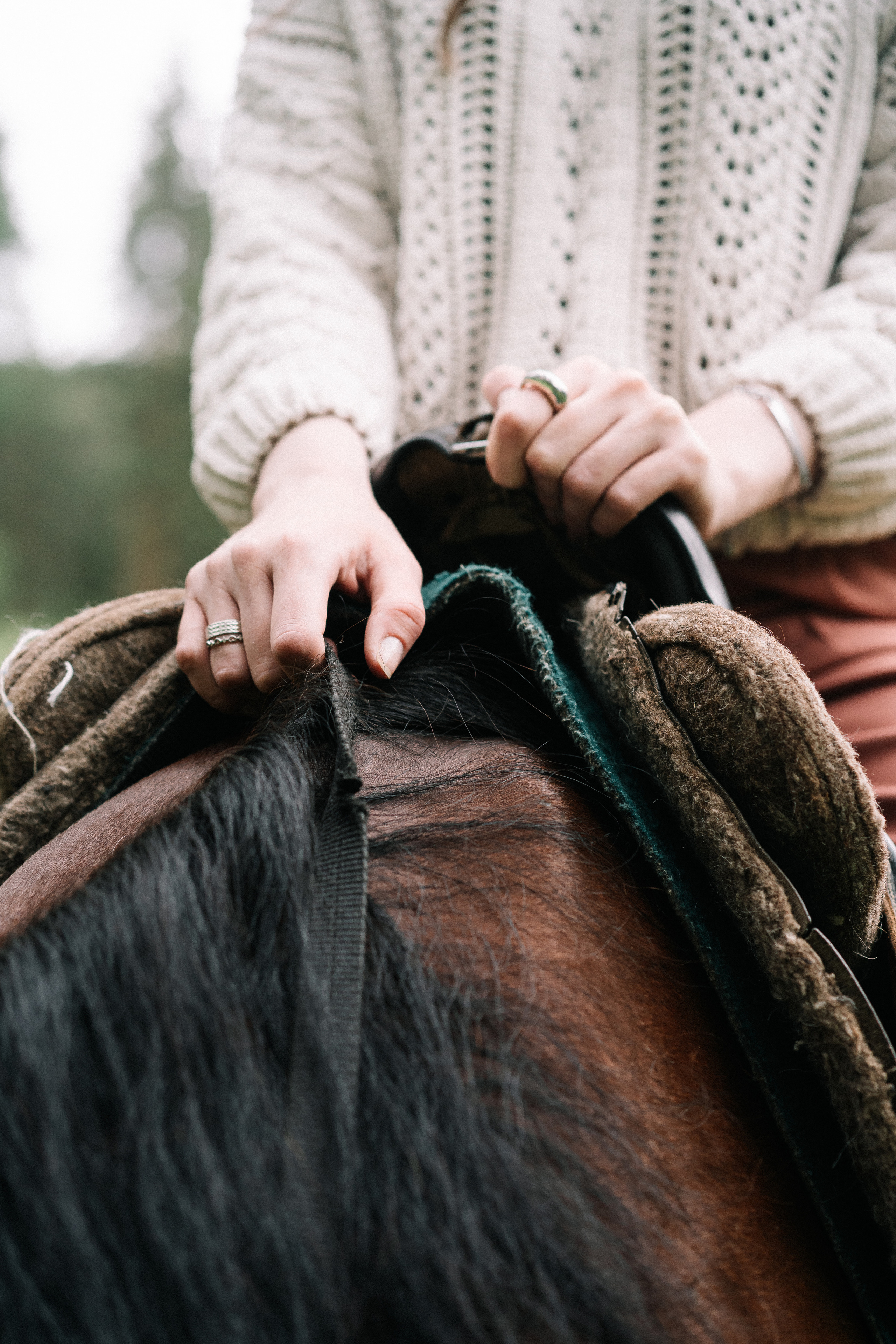 Photo of a couple in the forest. Portrait and wedding photographer in New York