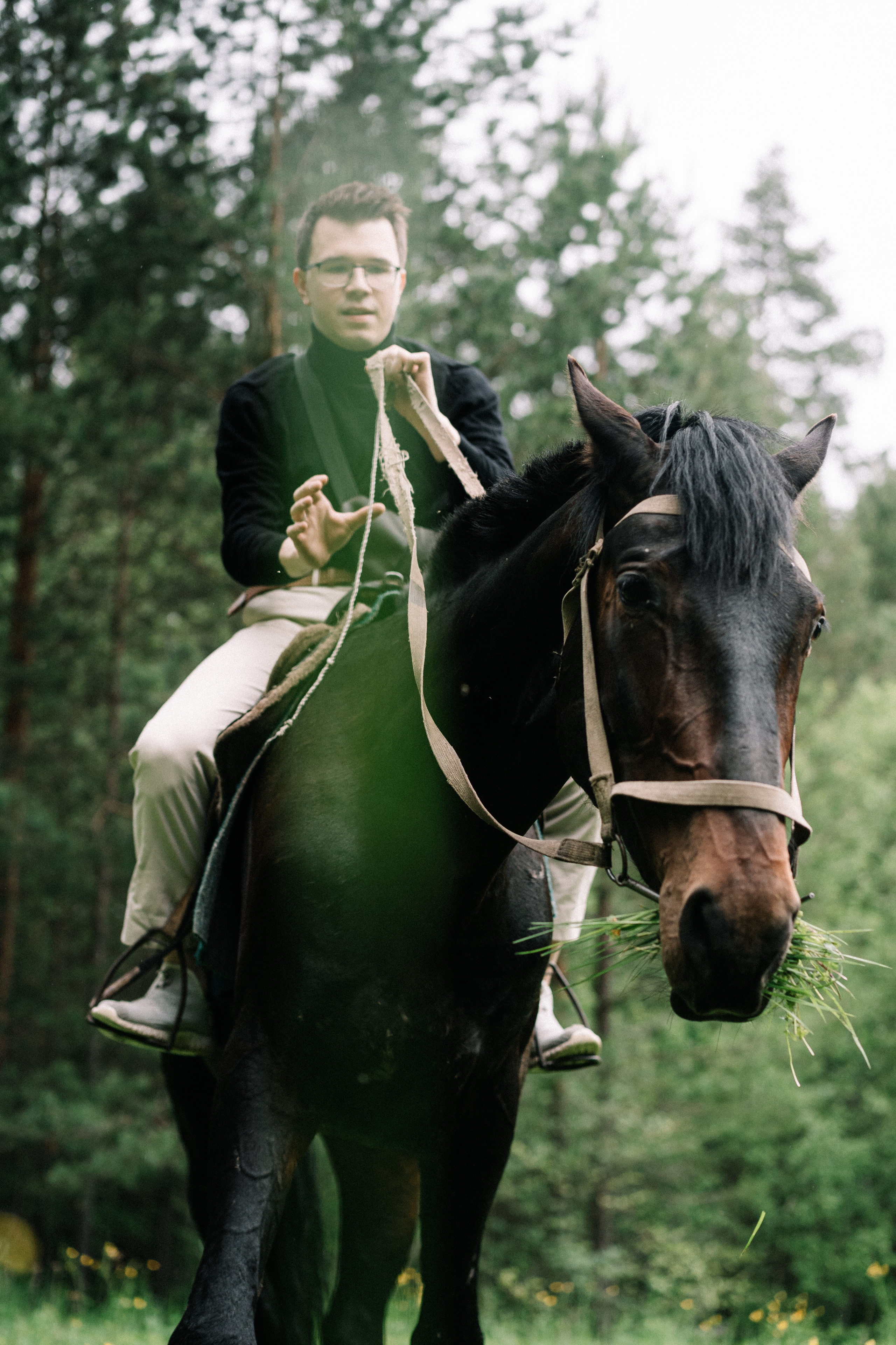 Photo of a couple in the forest. Portrait and wedding photographer in New York