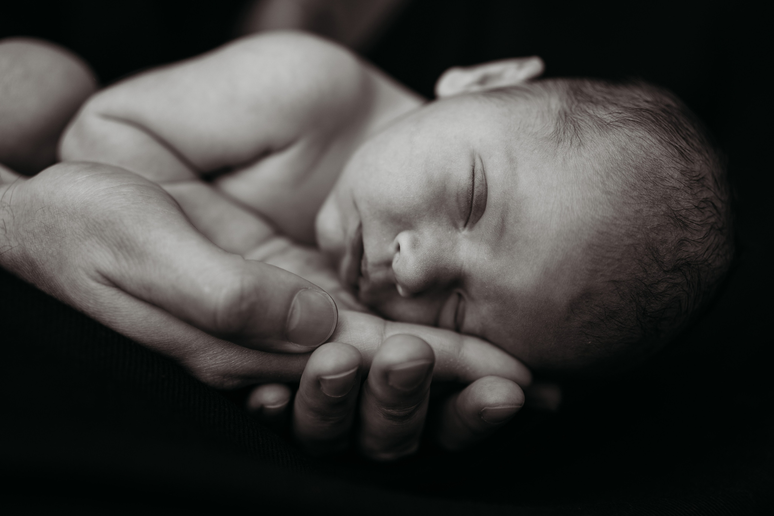 Лео и Соня (10 дней и 5 лет). Фотограф новорожденных и детей первого года Евгения Михалькевич