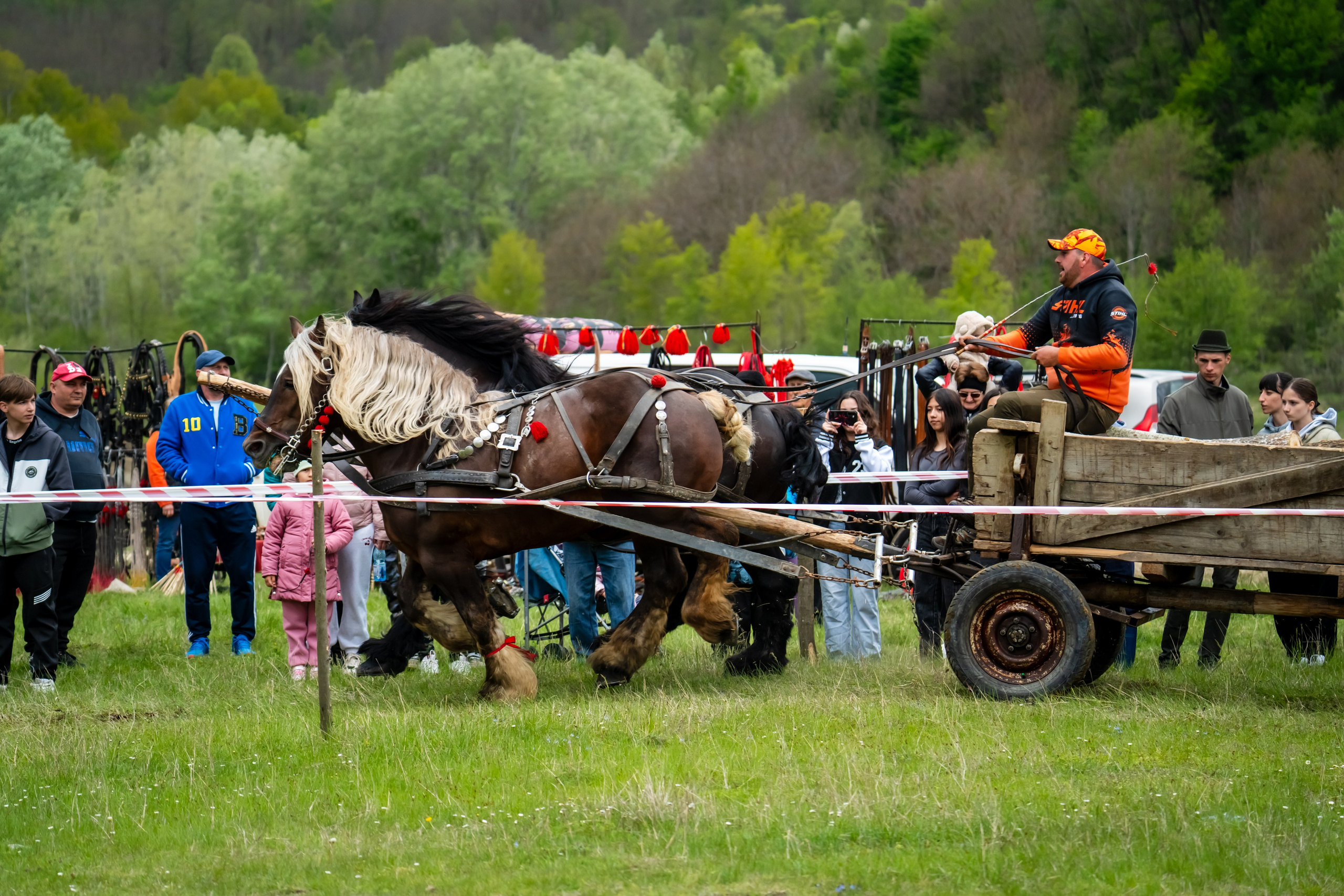 Concurs Ecvestru Vărbilău ediția a 4-a. Mihai Alexandra Events