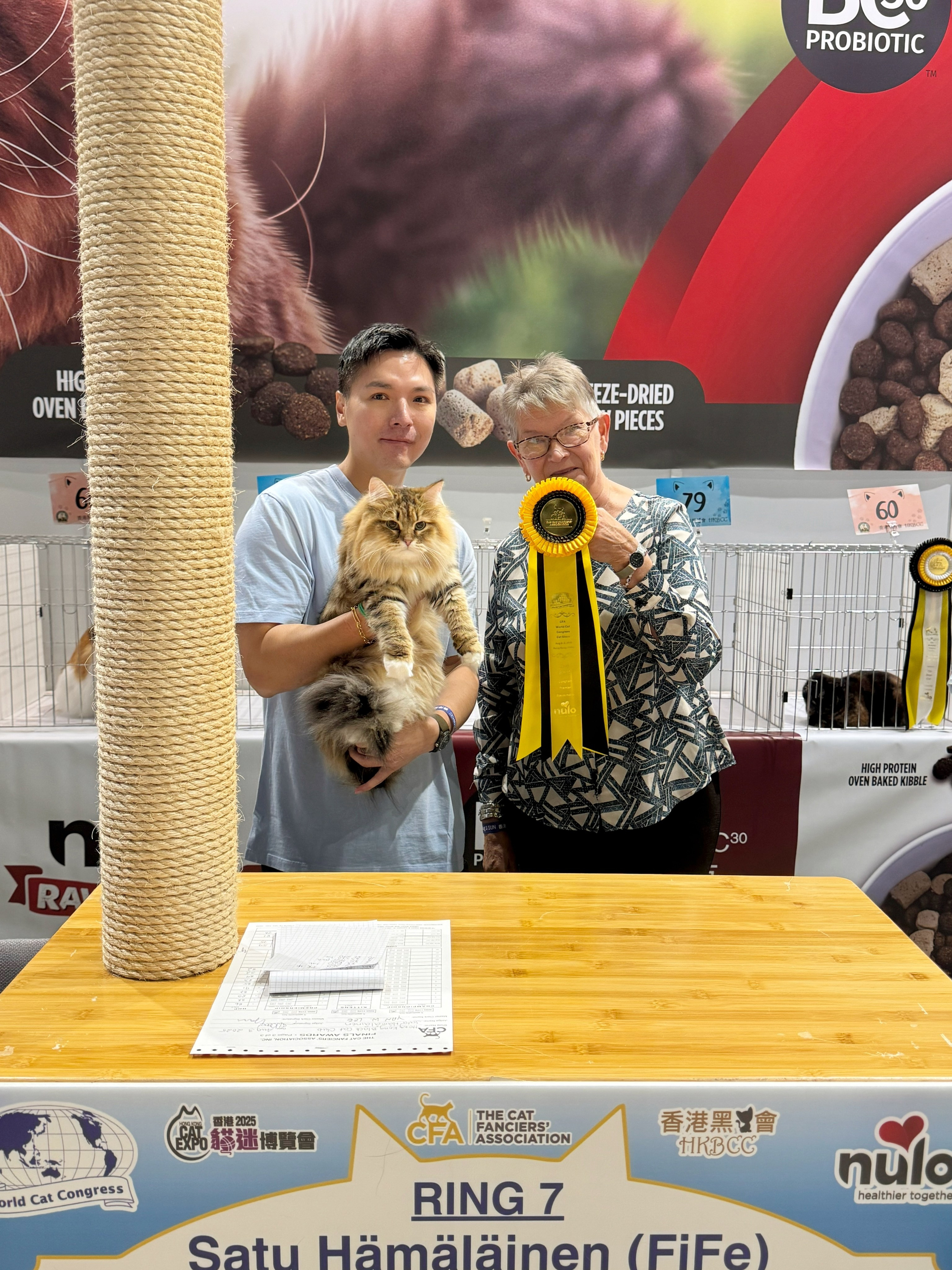 LEMON GREEN SIBERIANS BRIGITTE