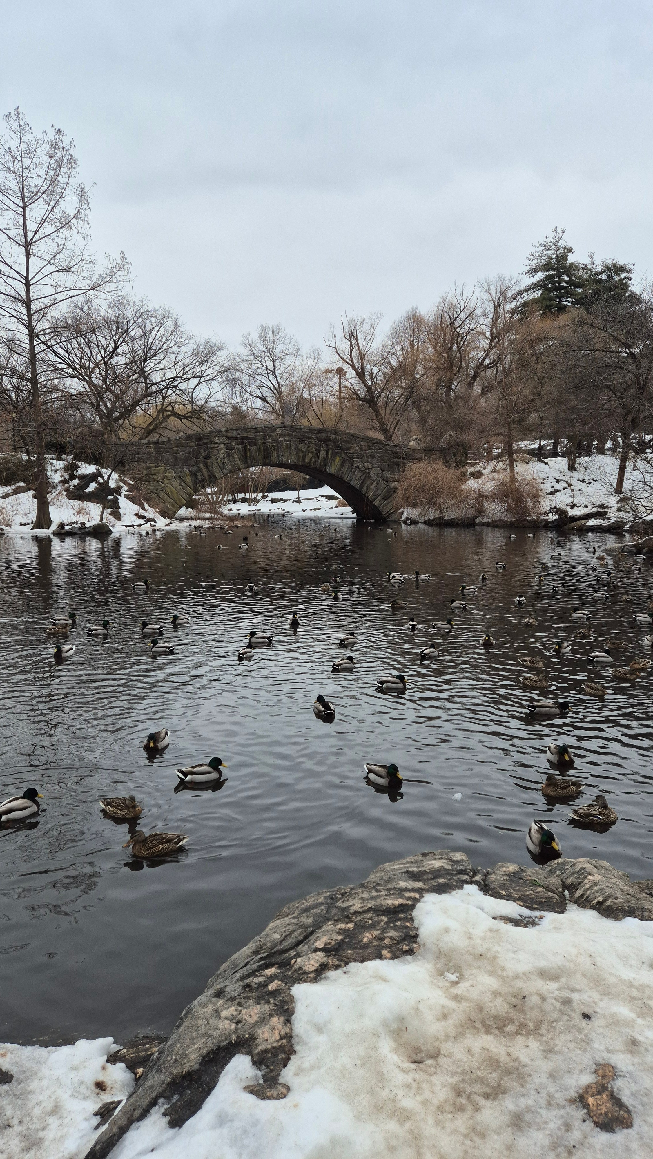 New York 2026. Photographer Marina, city of Nuremberg