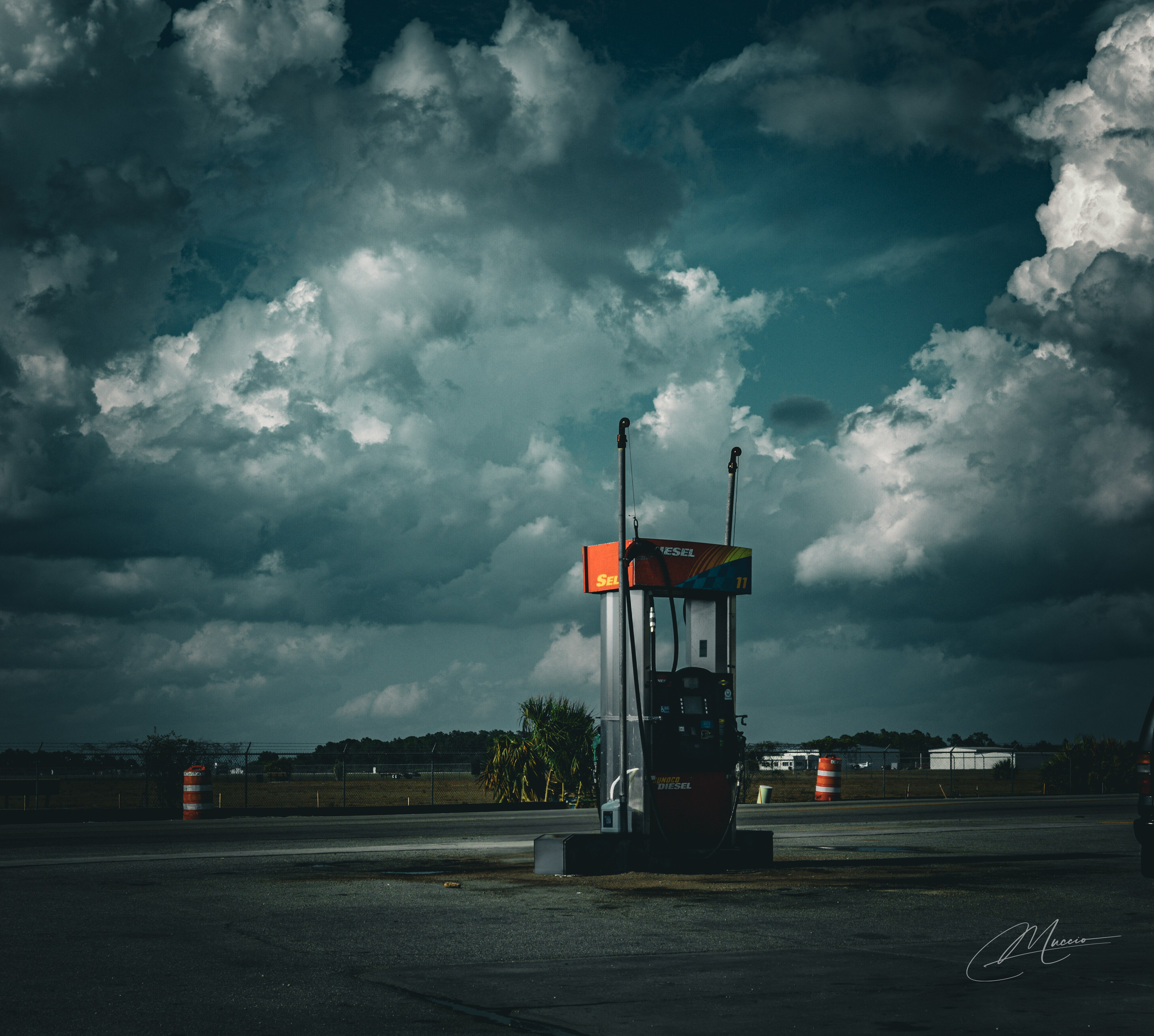 Americana — Immokolee. Out and About 239