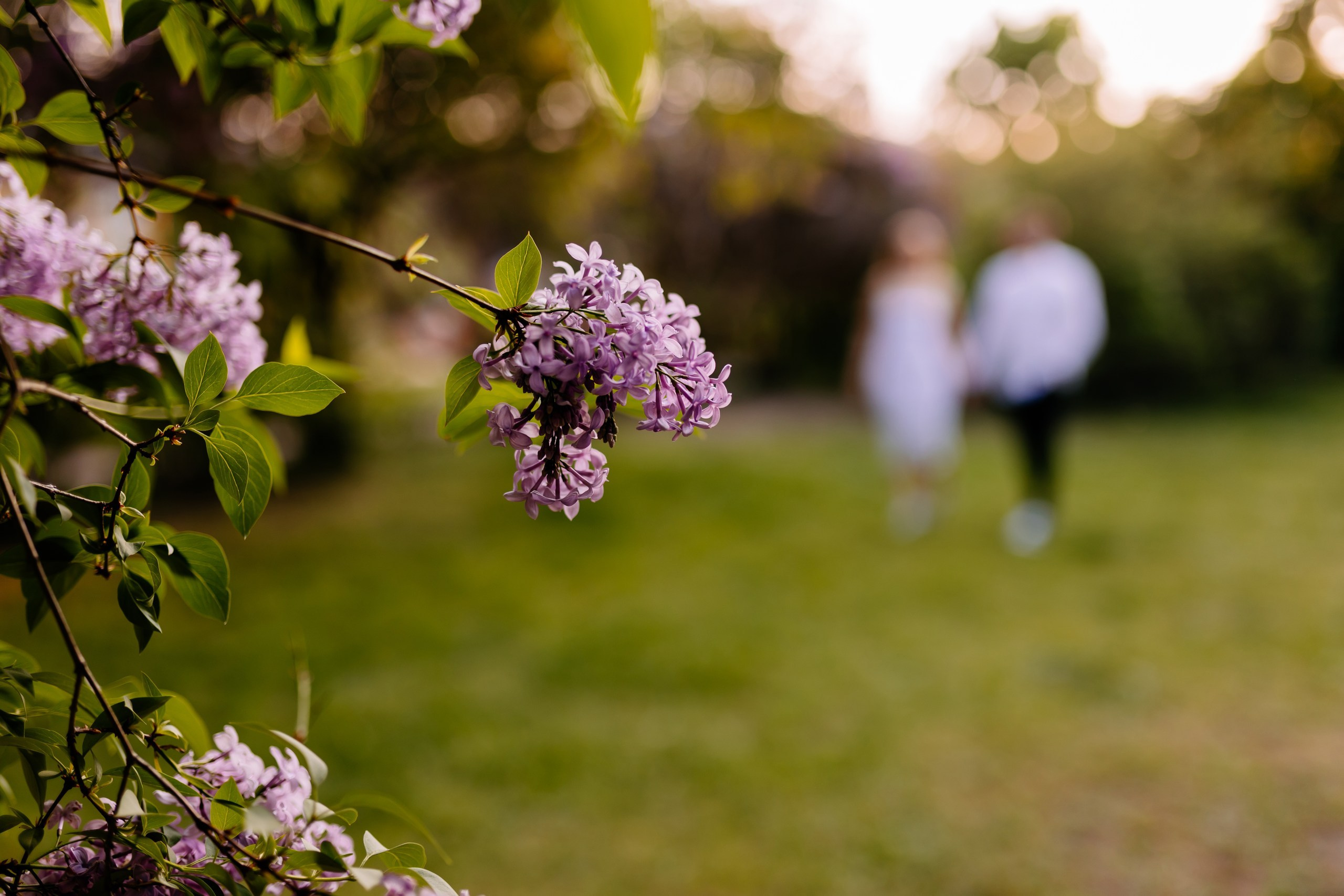 Marysia ♡ Krzysztof. Fotograf Ślubny Warszawa - Sesje Biznesowe Rodzinne Eventy