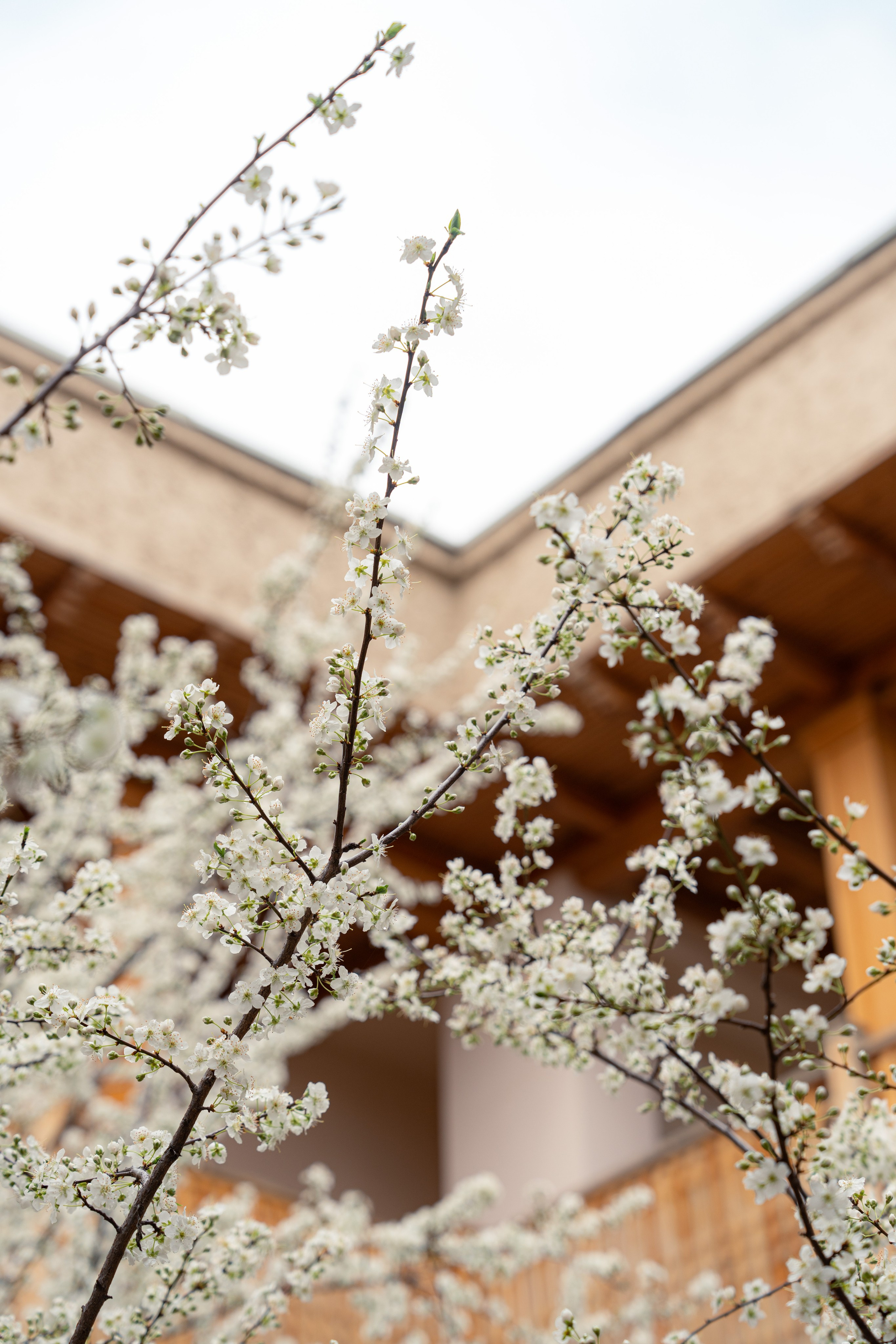 Навруз. Георгий Намазов | Фотограф в Ташкенте