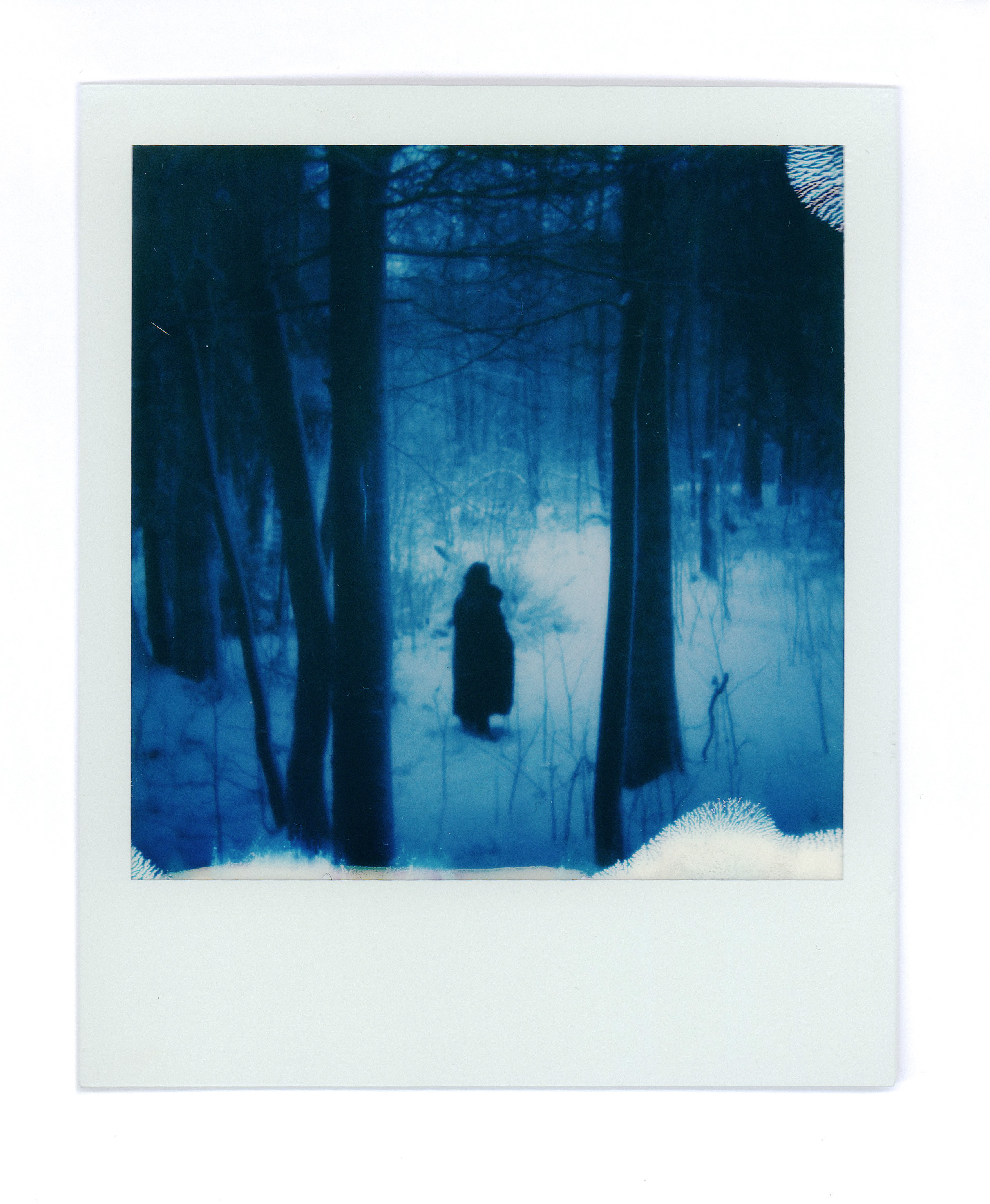 Random shots. Daria Sukhikh | Photography