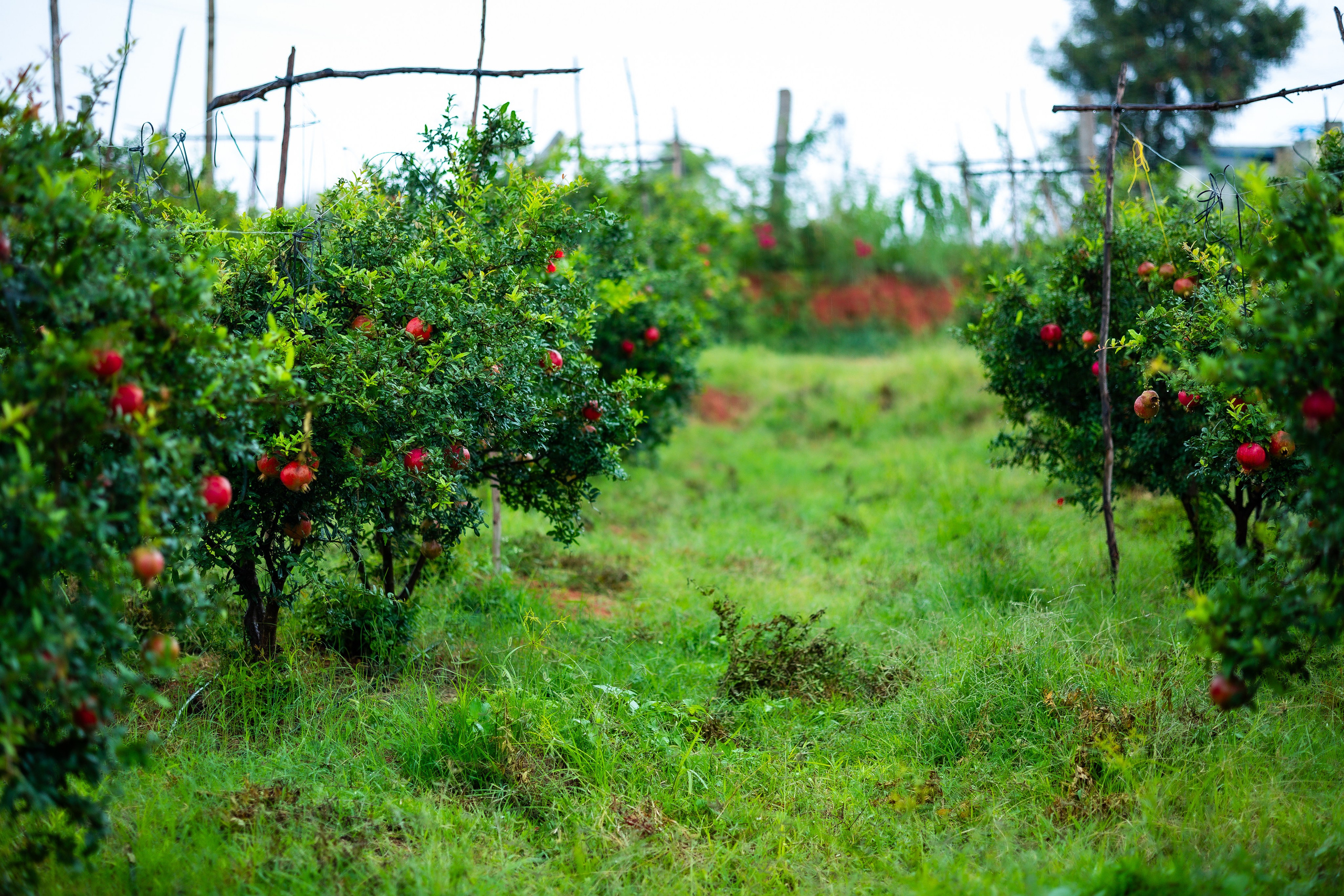 Real-Estate Photography Horamavu. JDR Productions: Professional Wedding, Real-Estate, Maternity, Event Photography and Videography in Horamavu, Bengaluru, Karnataka