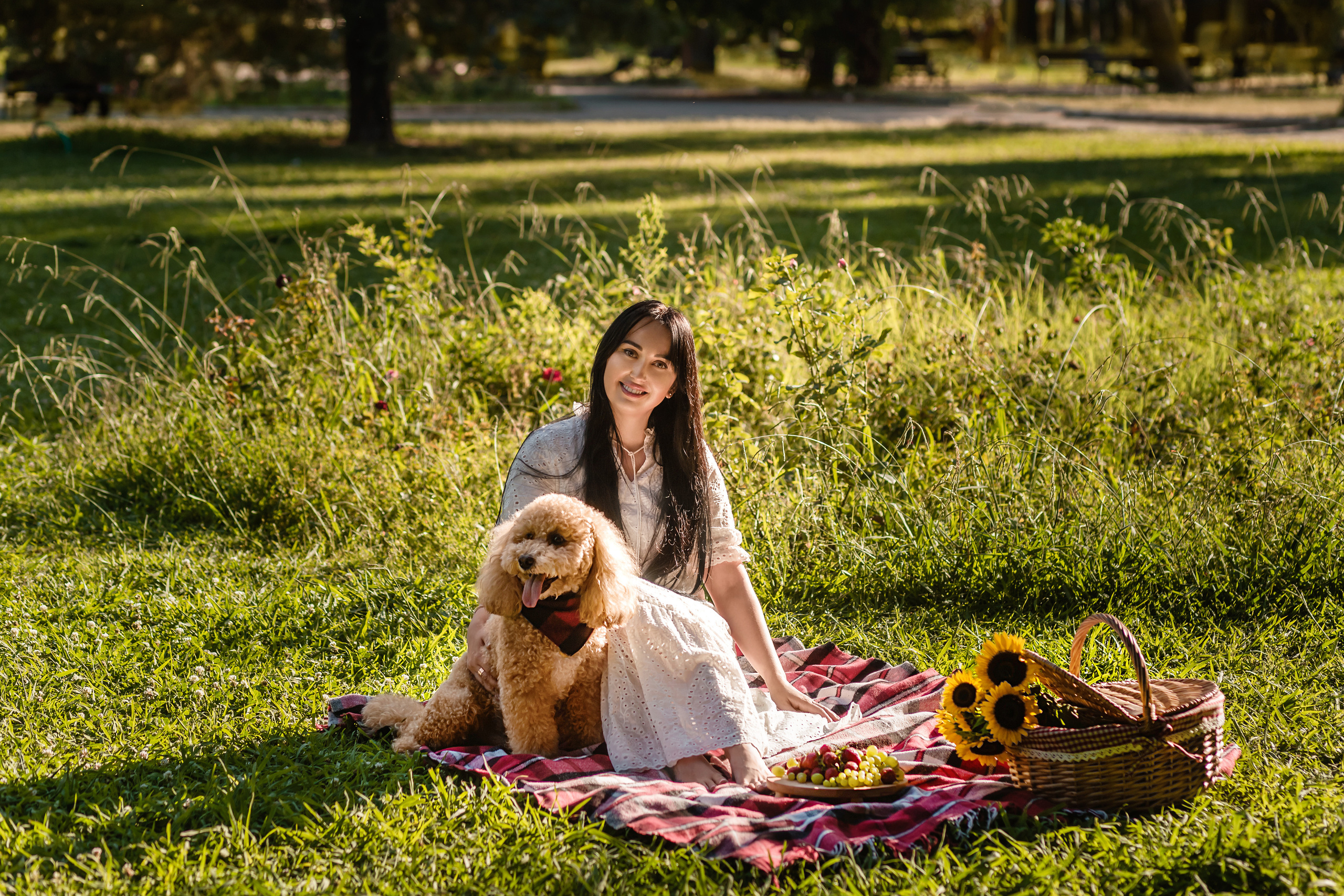 Personal photo session with a dog