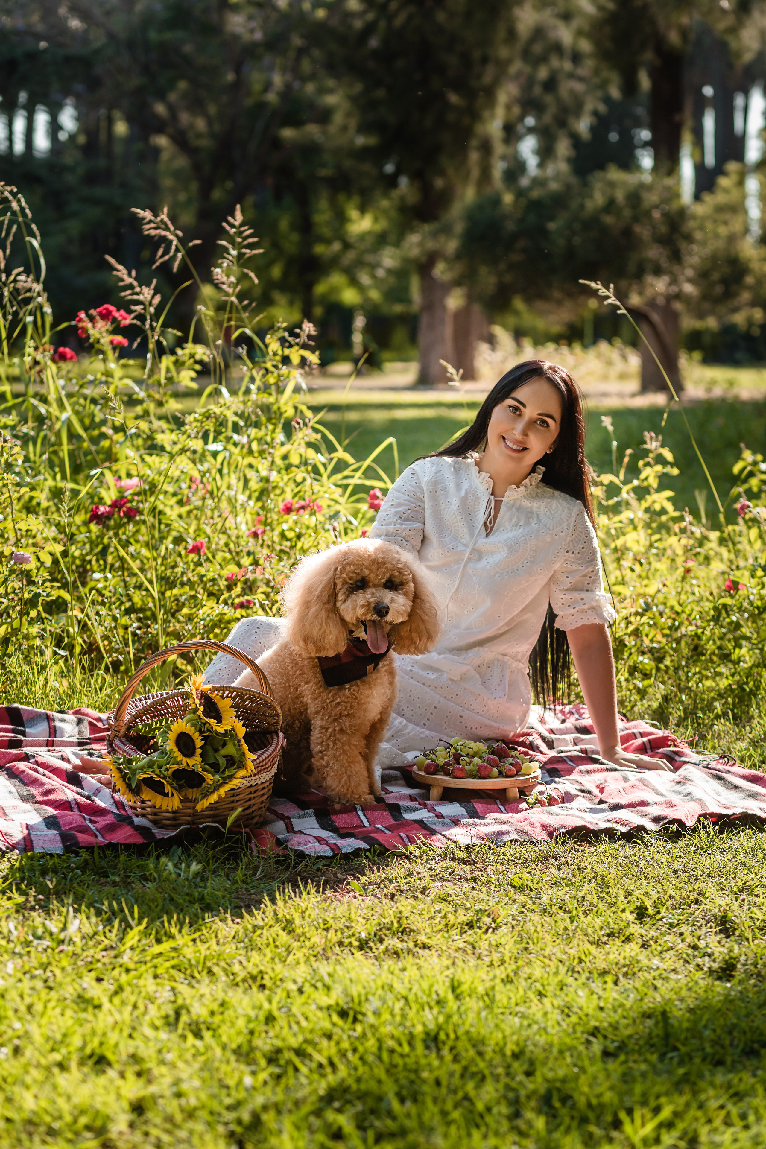 Personal photo session with a dog