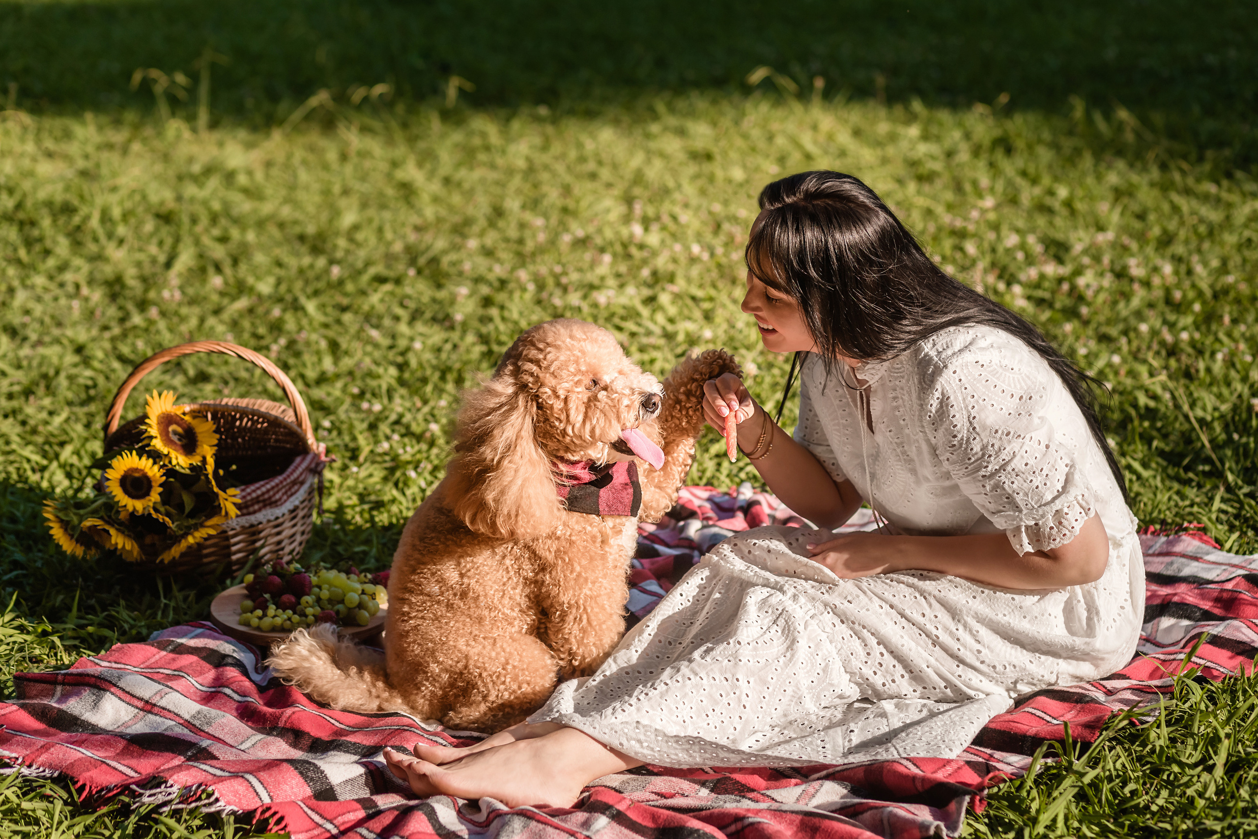 Personal photo session with a dog