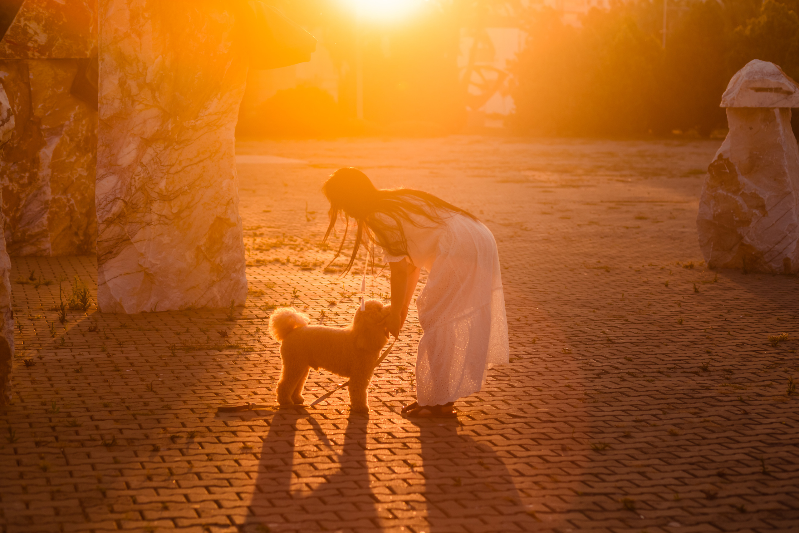 Personal photo session with a dog