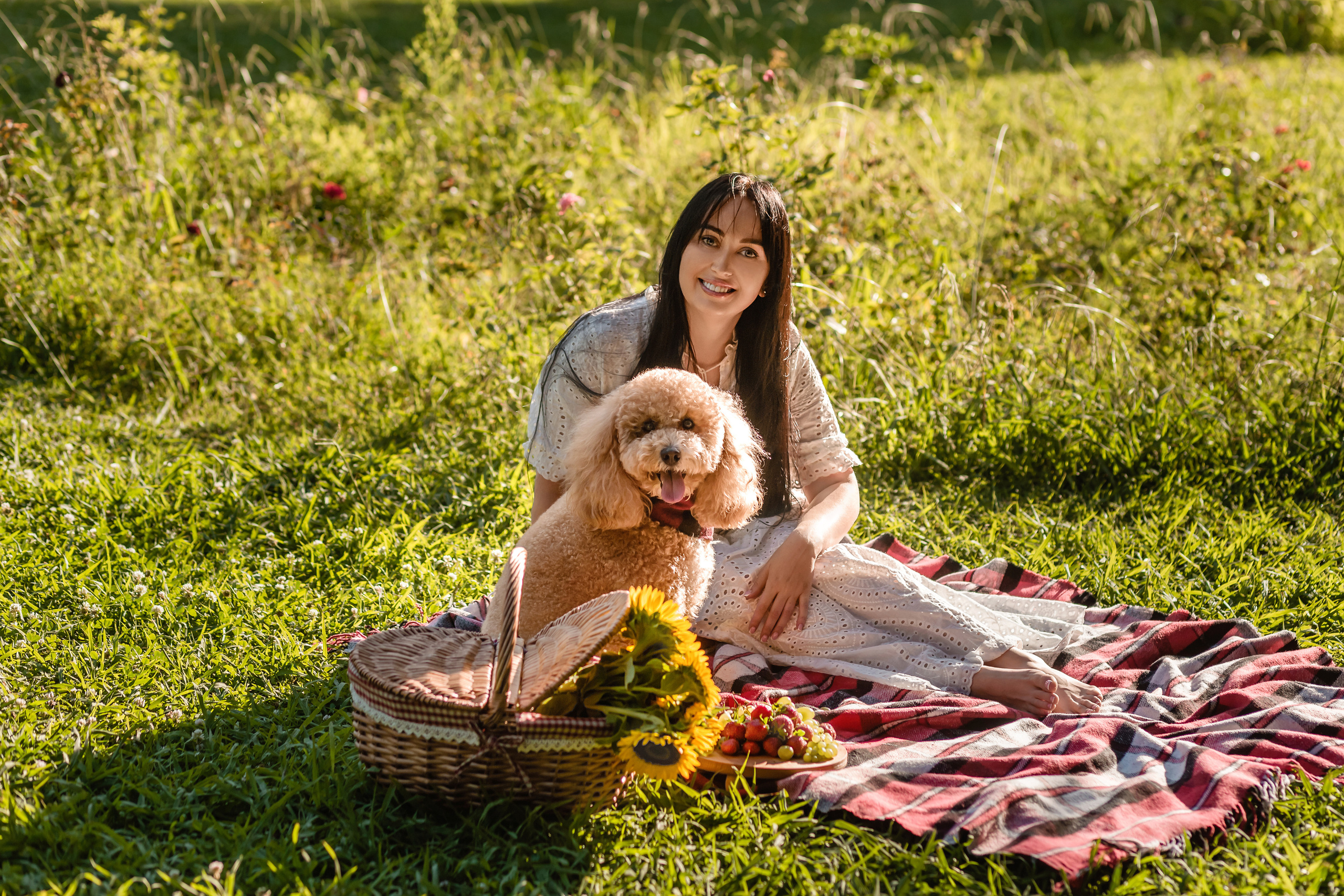 Personal photo session with a dog
