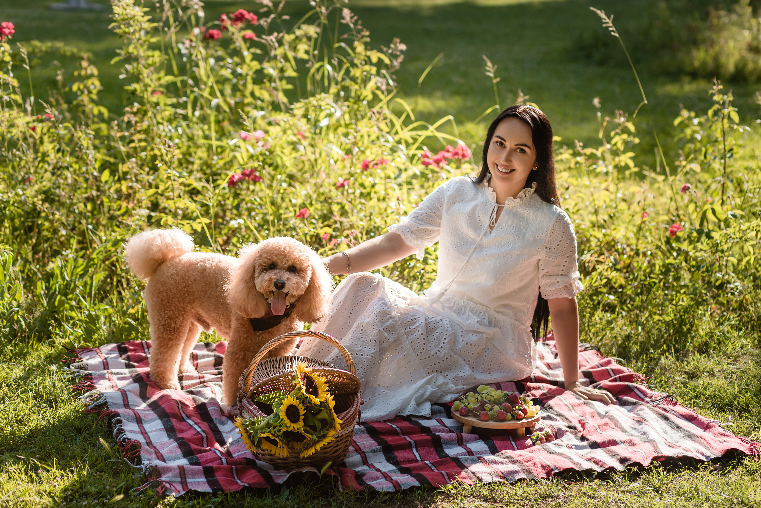 Personal photo session with a dog