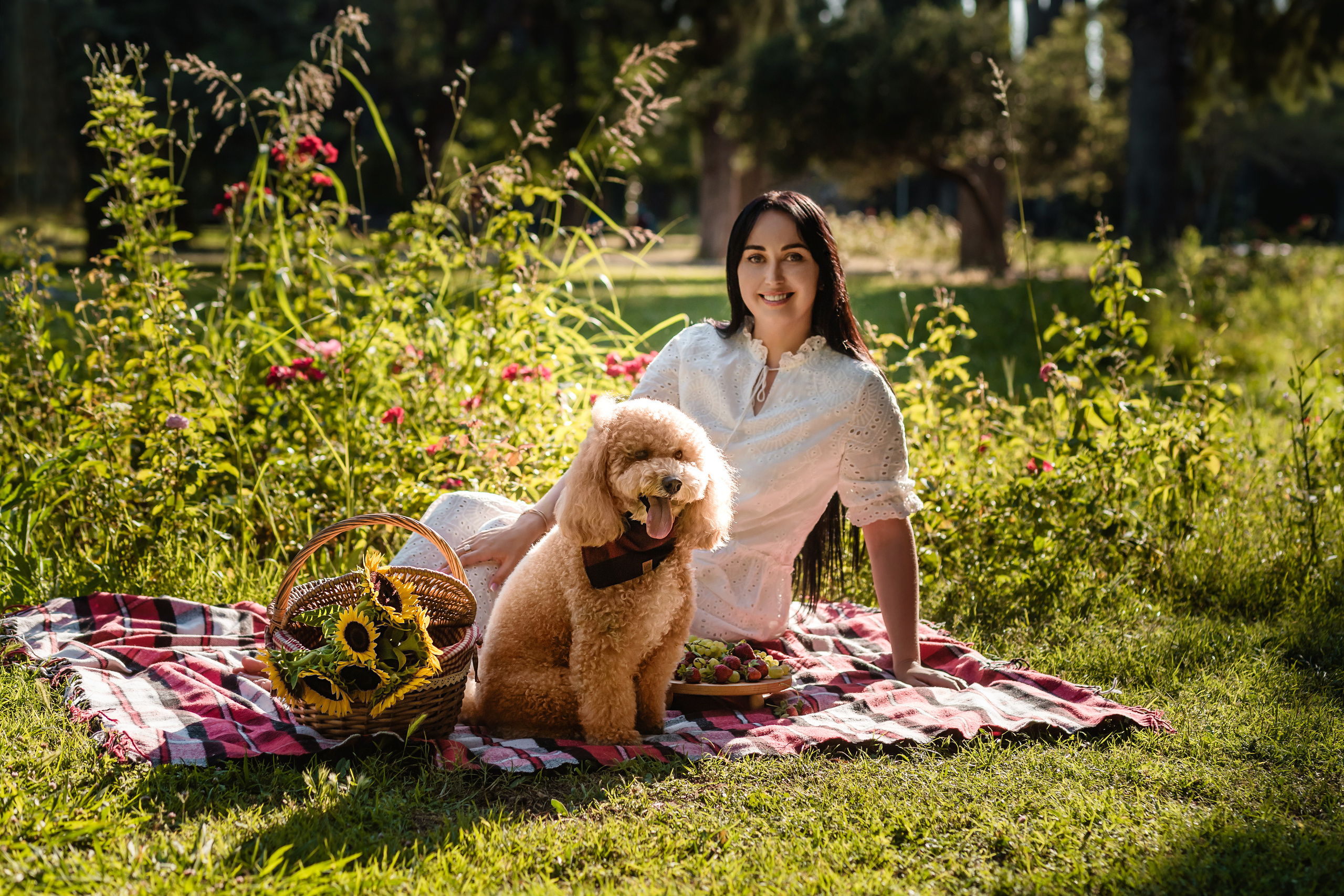 Personal photo session with a dog