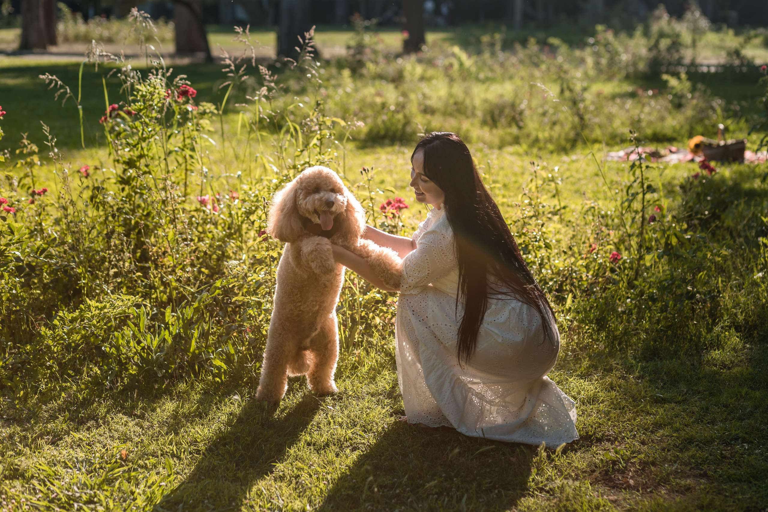 Personal photo session with a dog