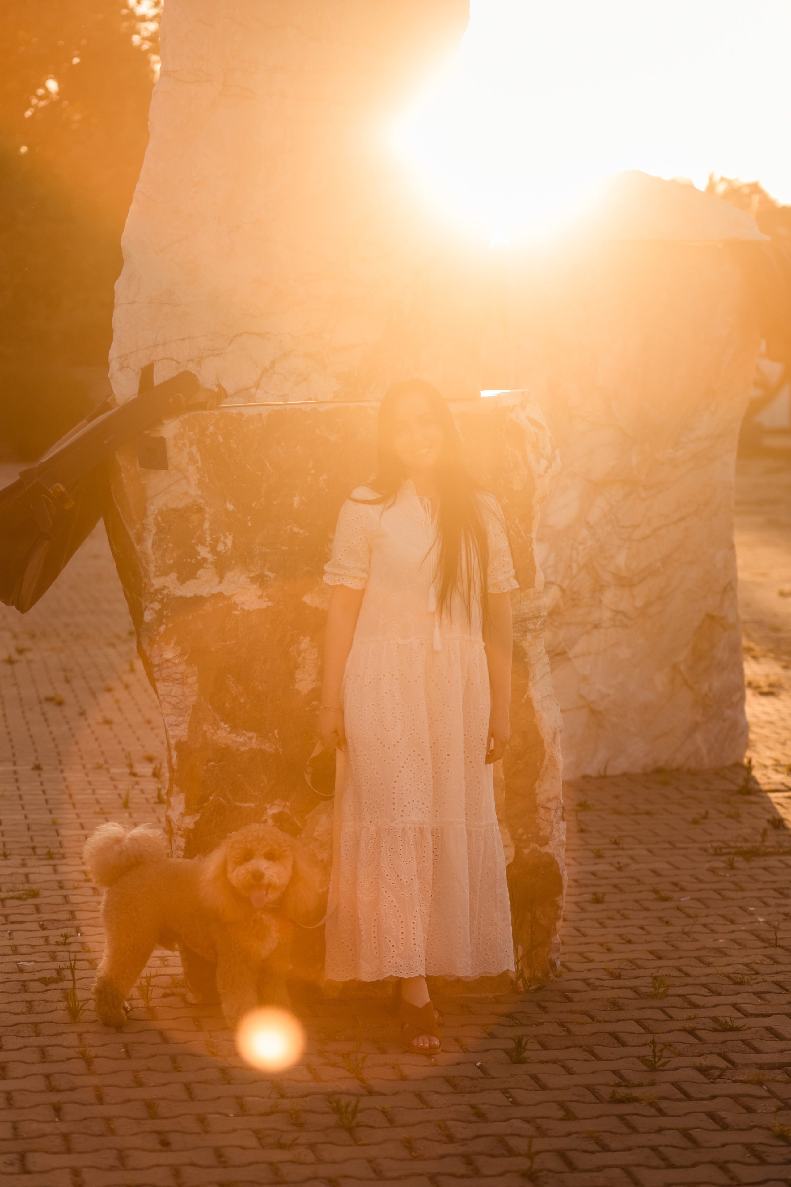 Personal photo session with a dog