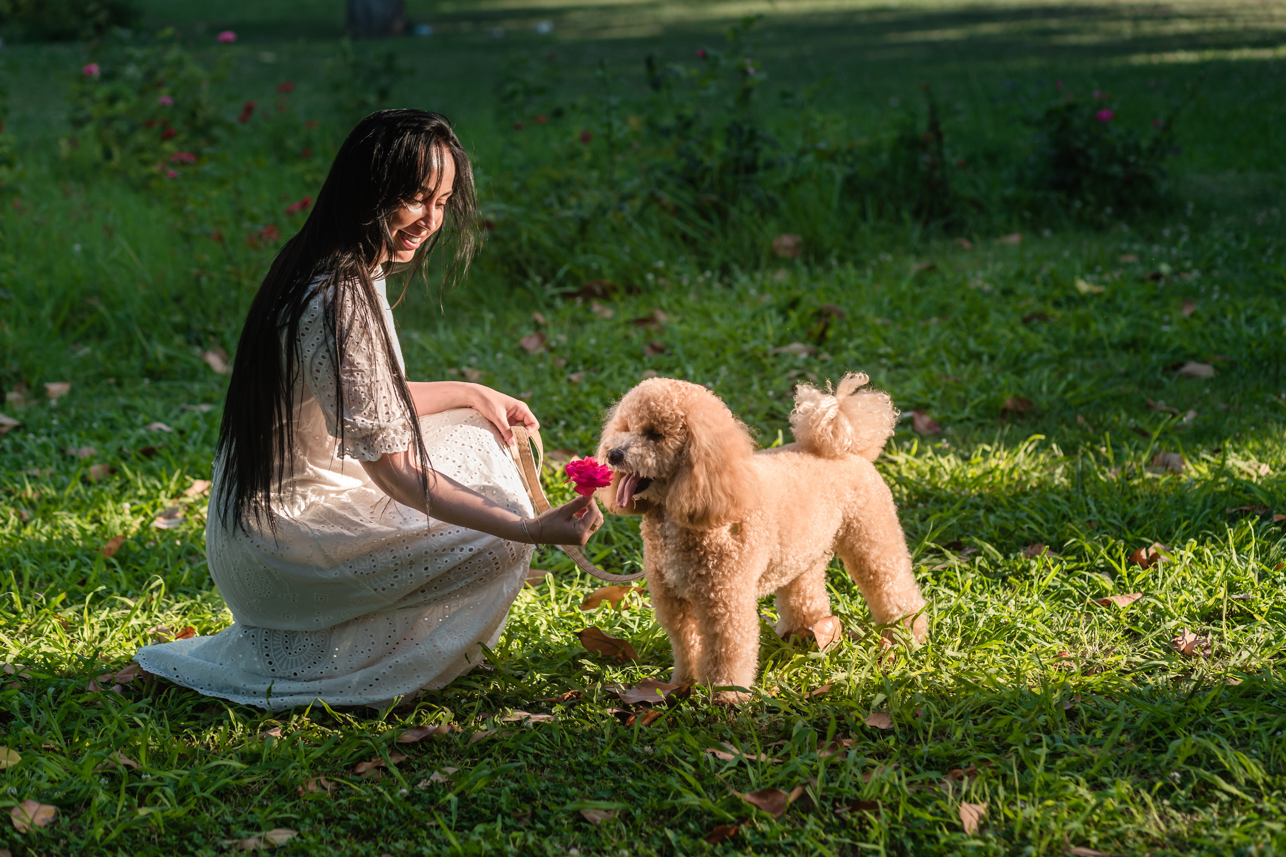 Personal photo session with a dog
