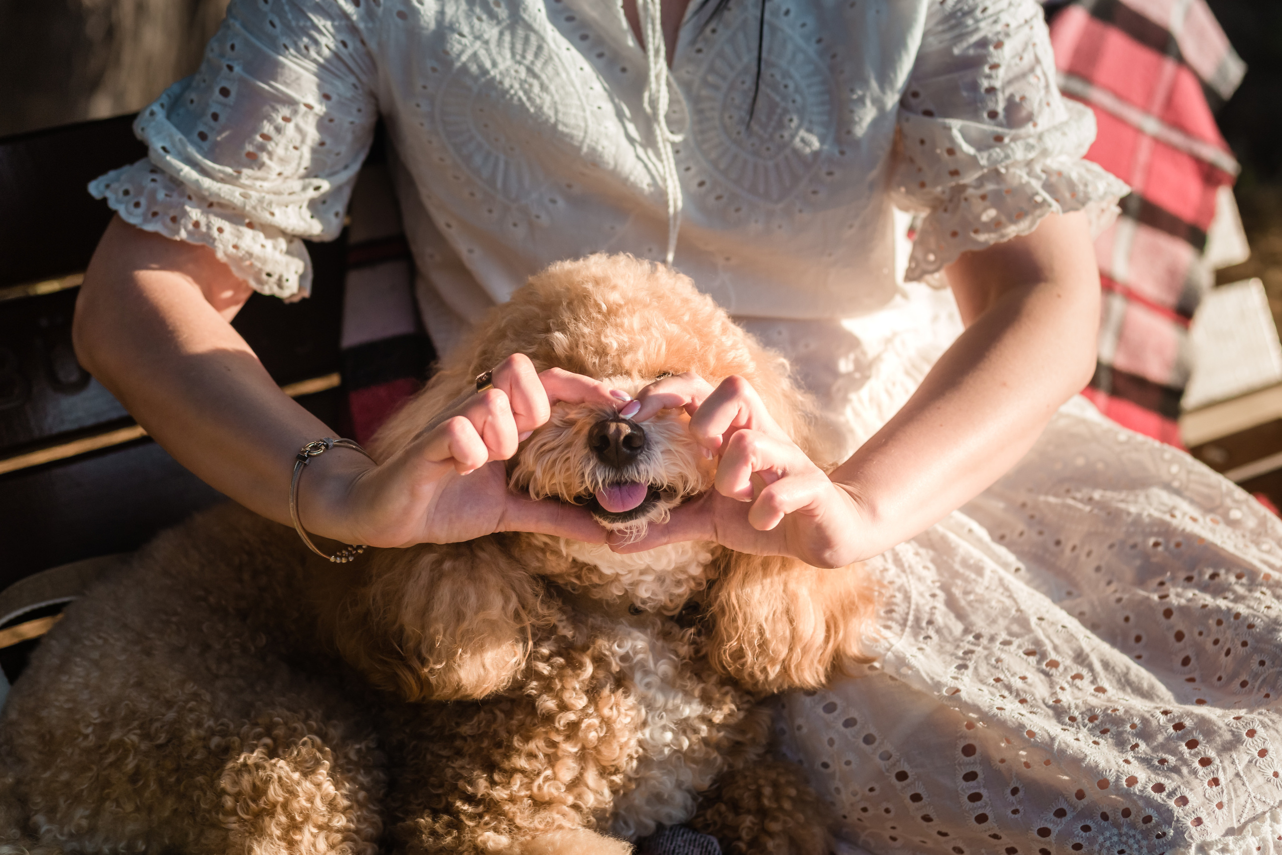 Personal photo session with a dog