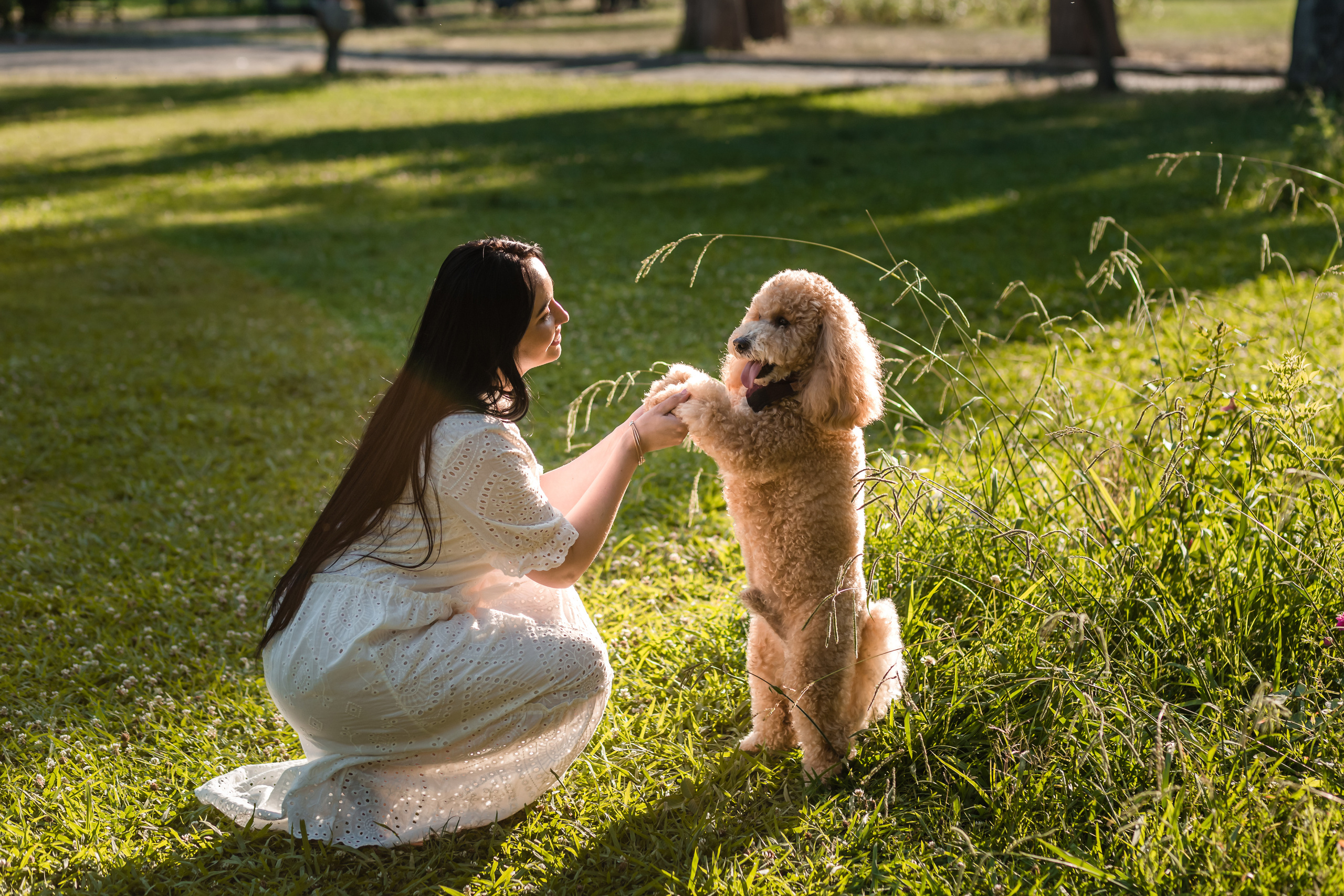Personal photo session with a dog