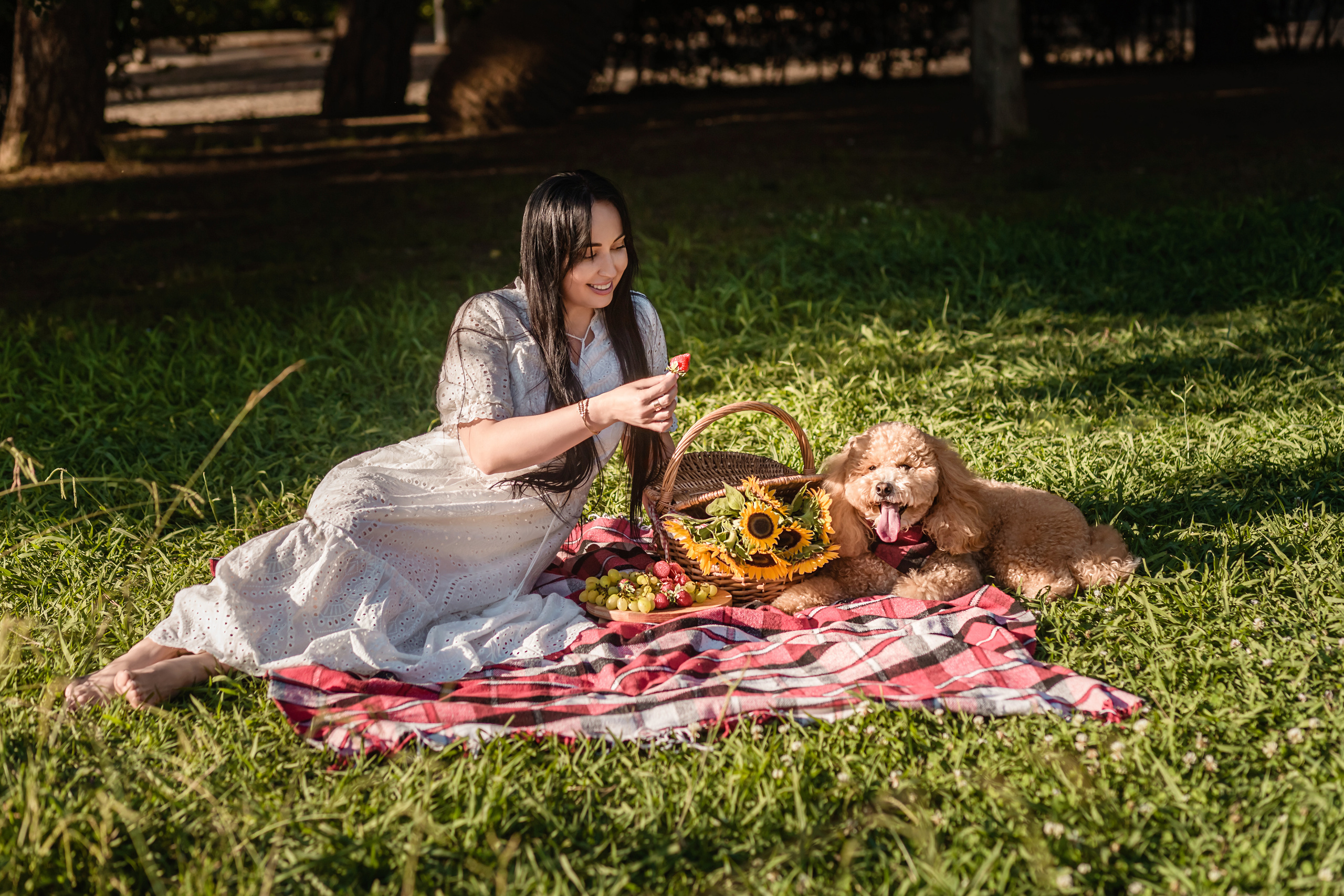 Personal photo session with a dog