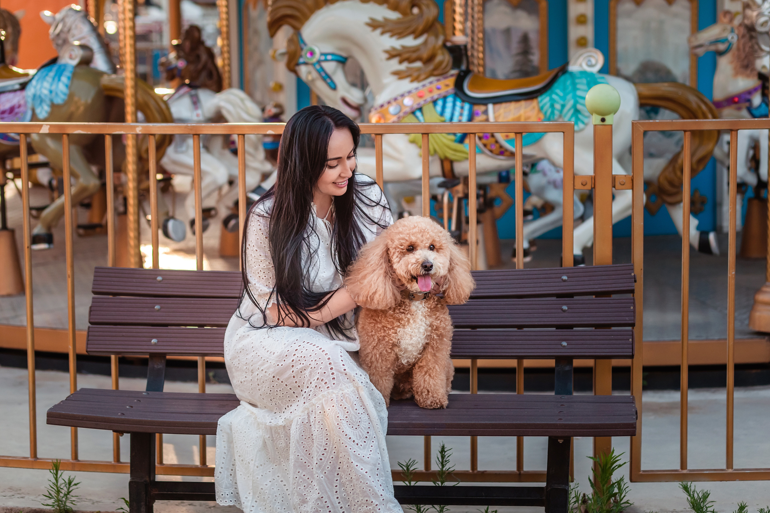 Personal photo session with a dog