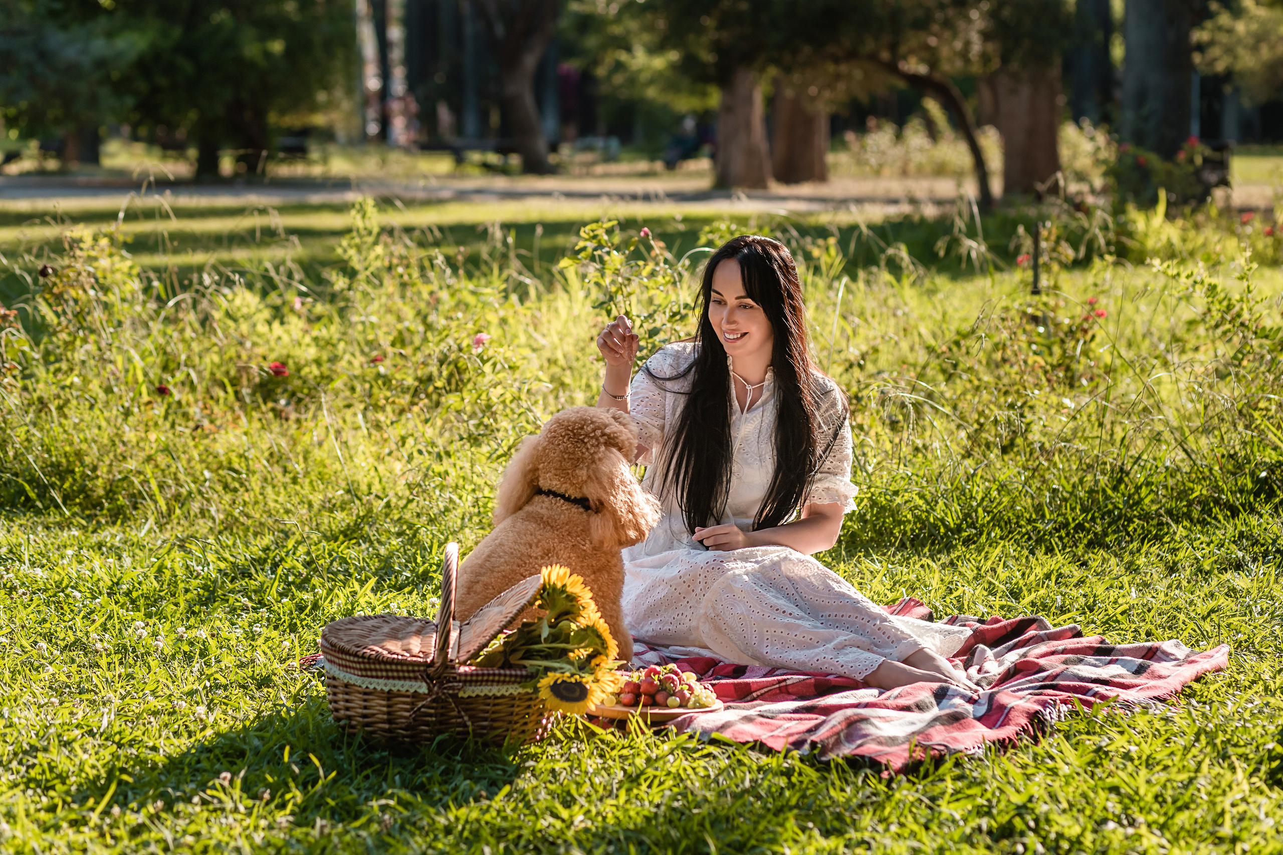 Personal photo session with a dog