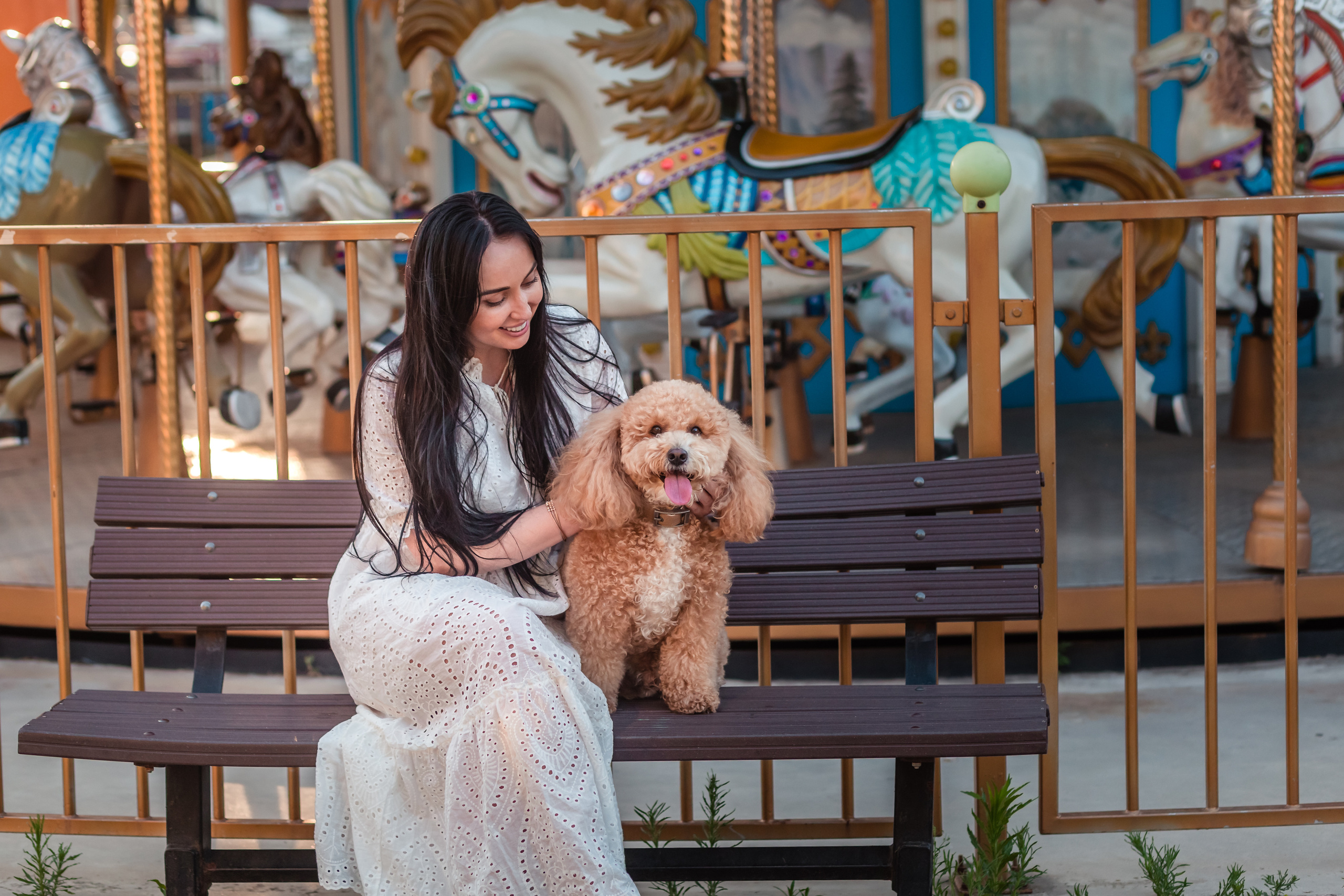 Personal photo session with a dog