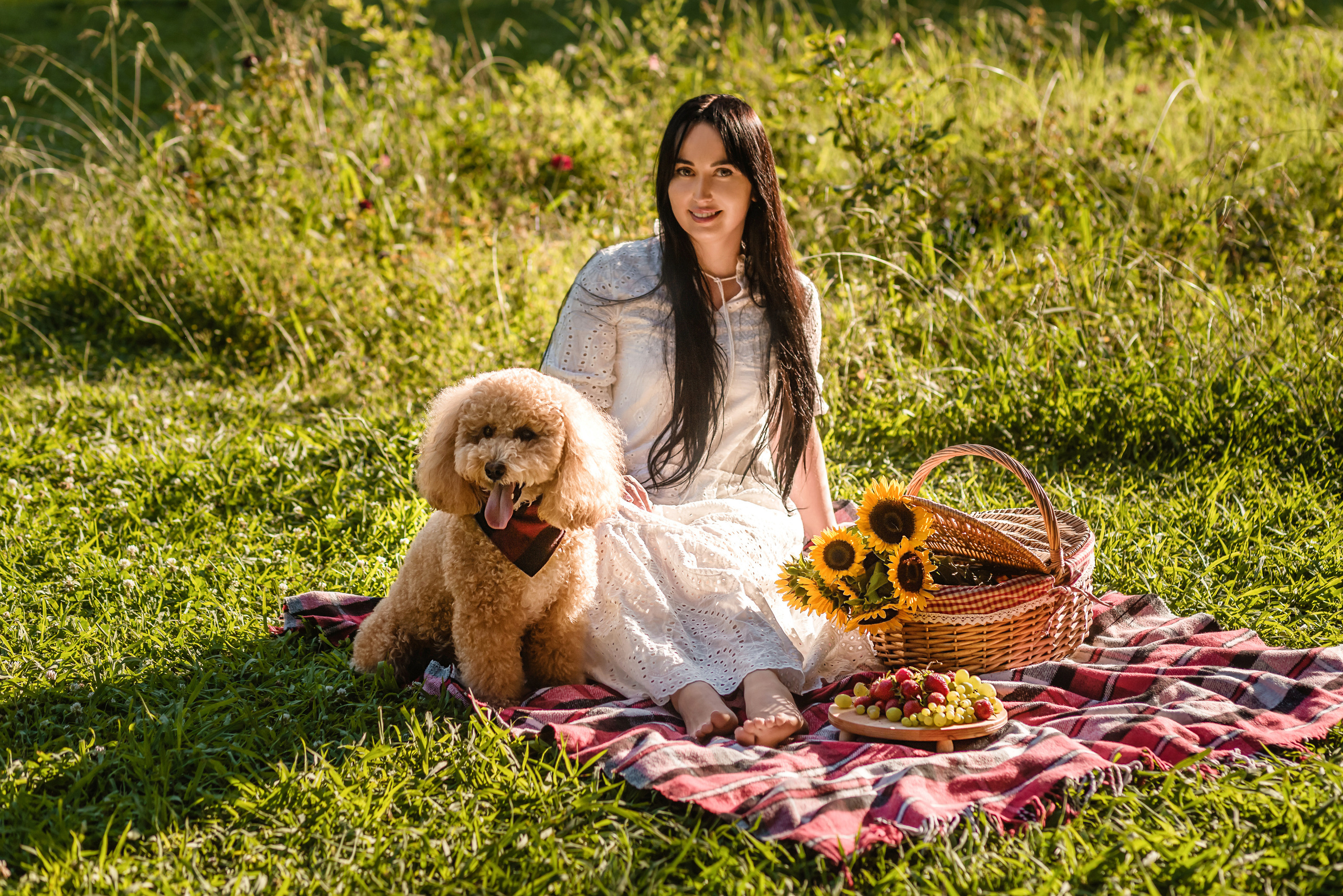 Personal photo session with a dog