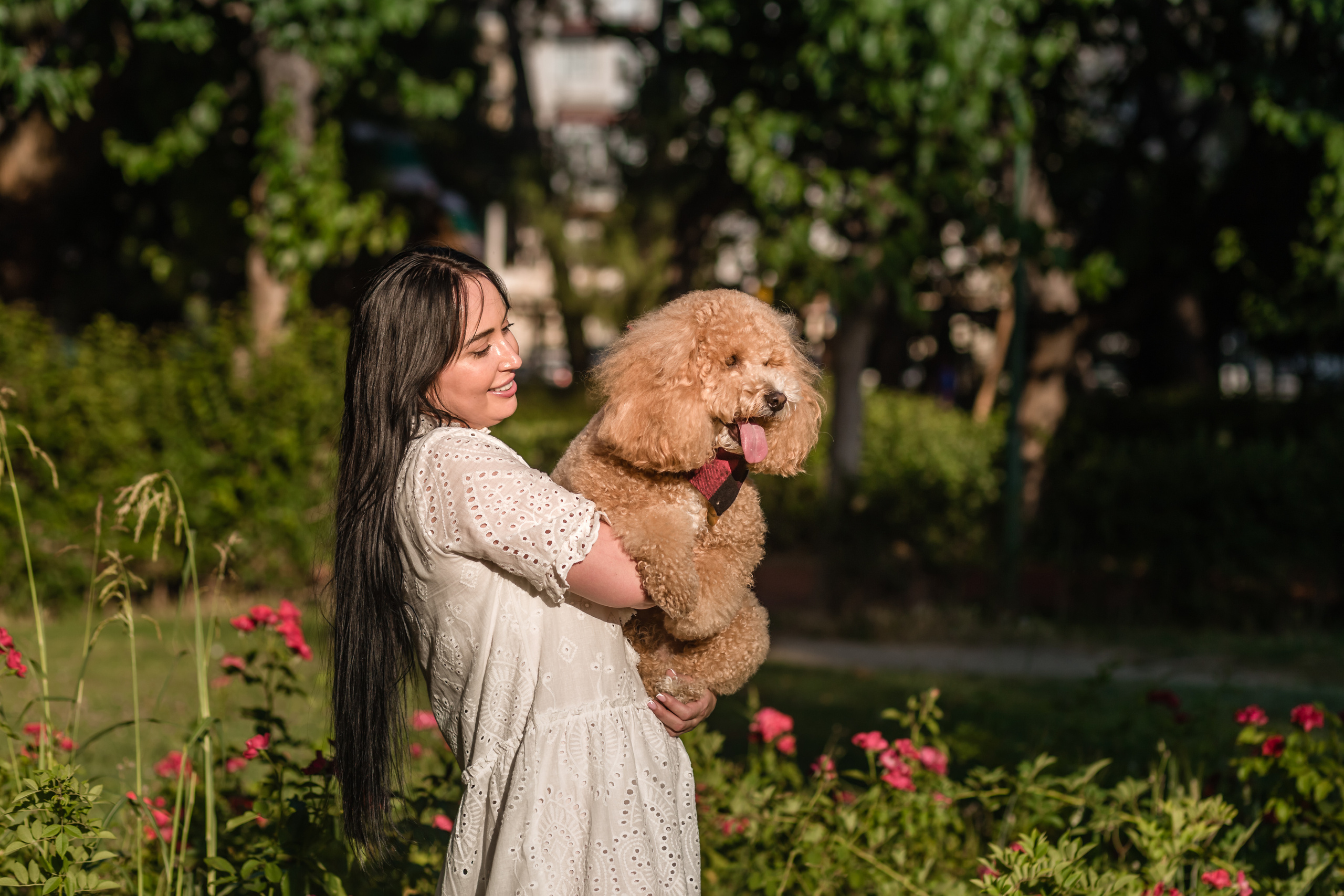 Personal photo session with a dog