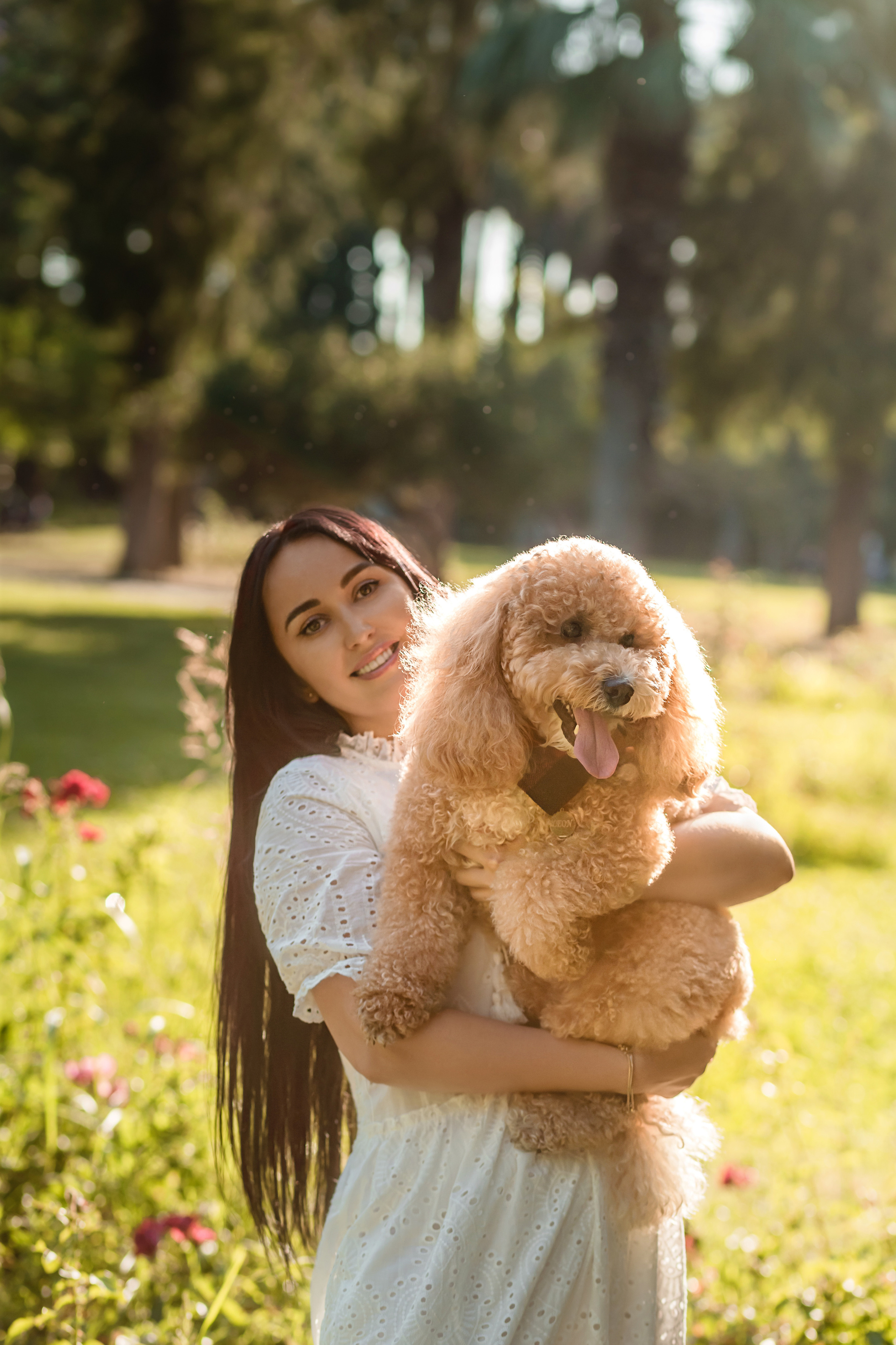 Personal photo session with a dog