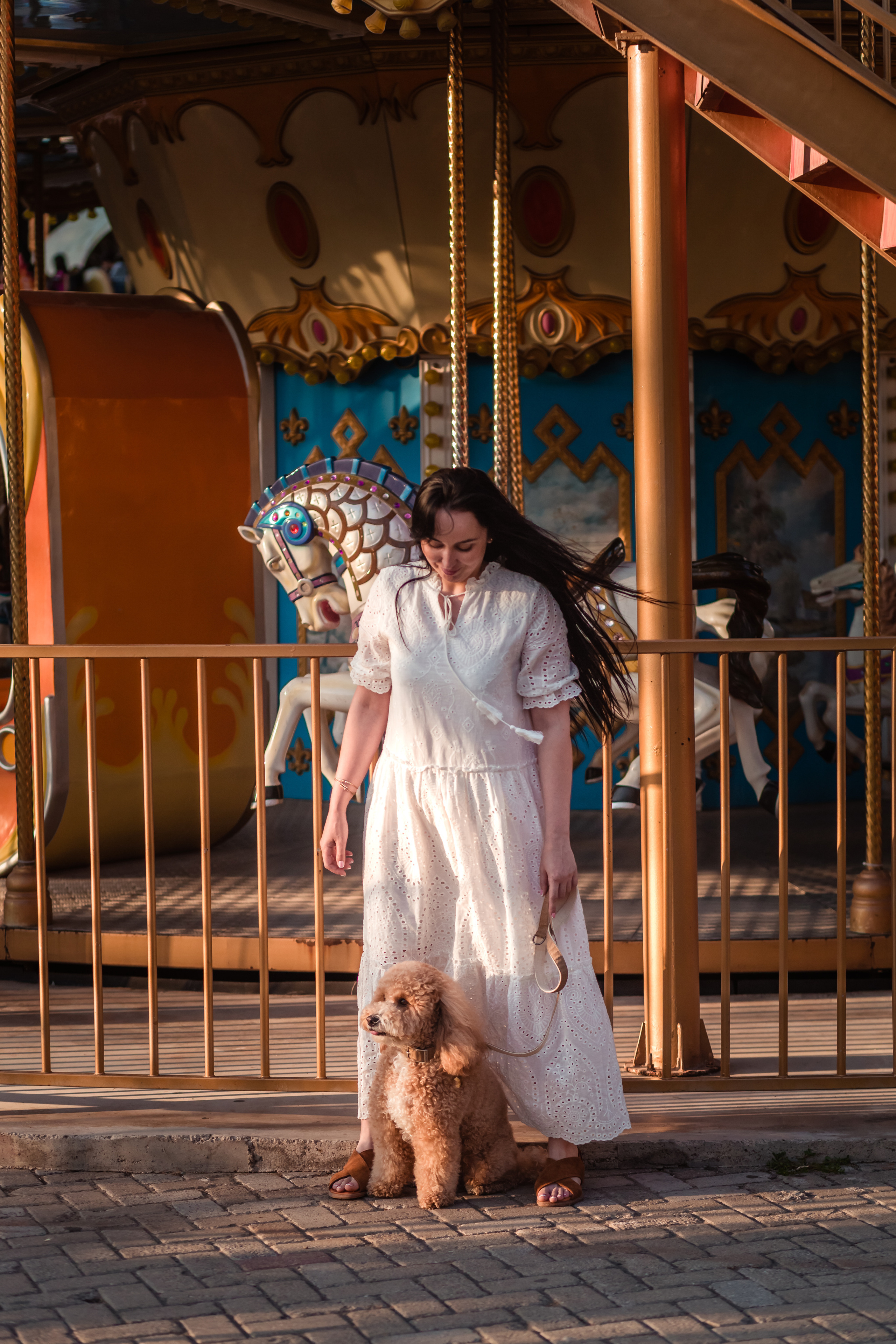 Personal photo session with a dog