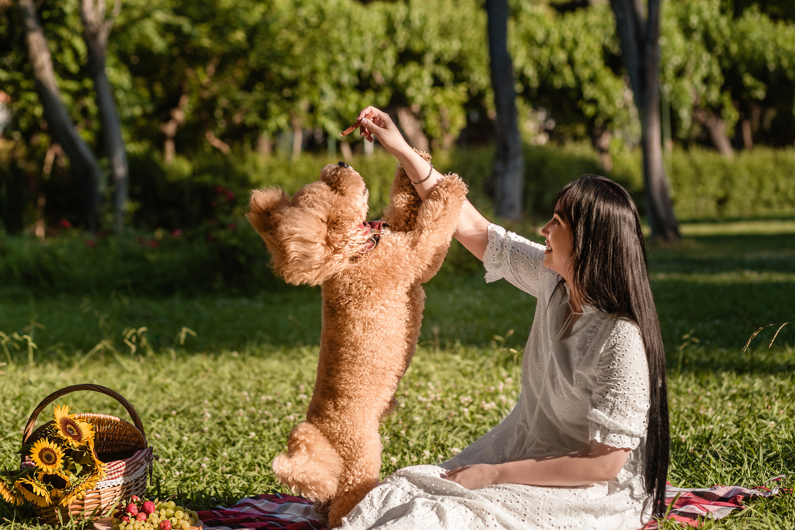 Personal photo session with a dog