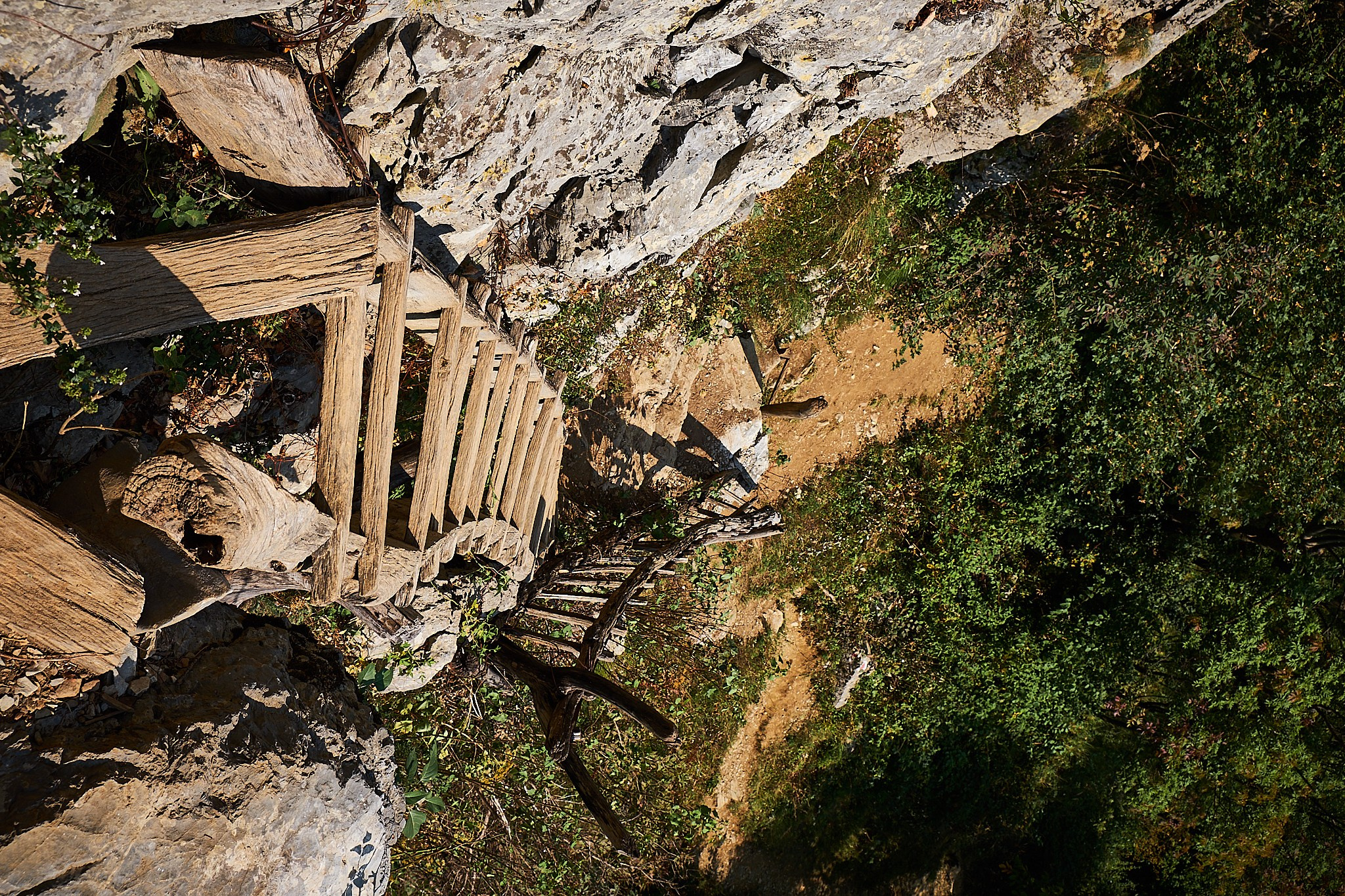 Ineleț, jud. Caraș-Severin. Pagina principală