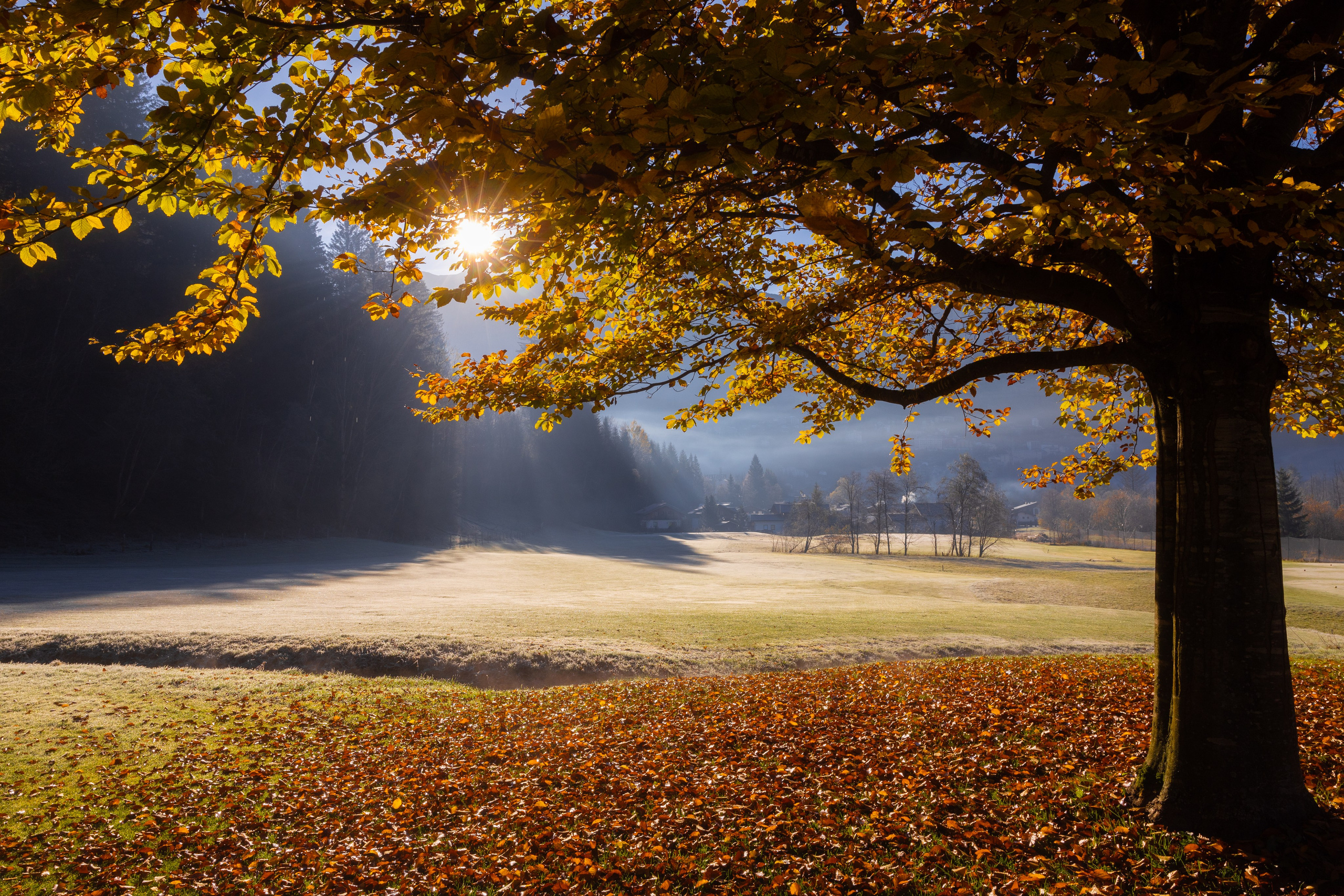 Bewunderung. Guzel Kolobova| Fotografin| Salzburg