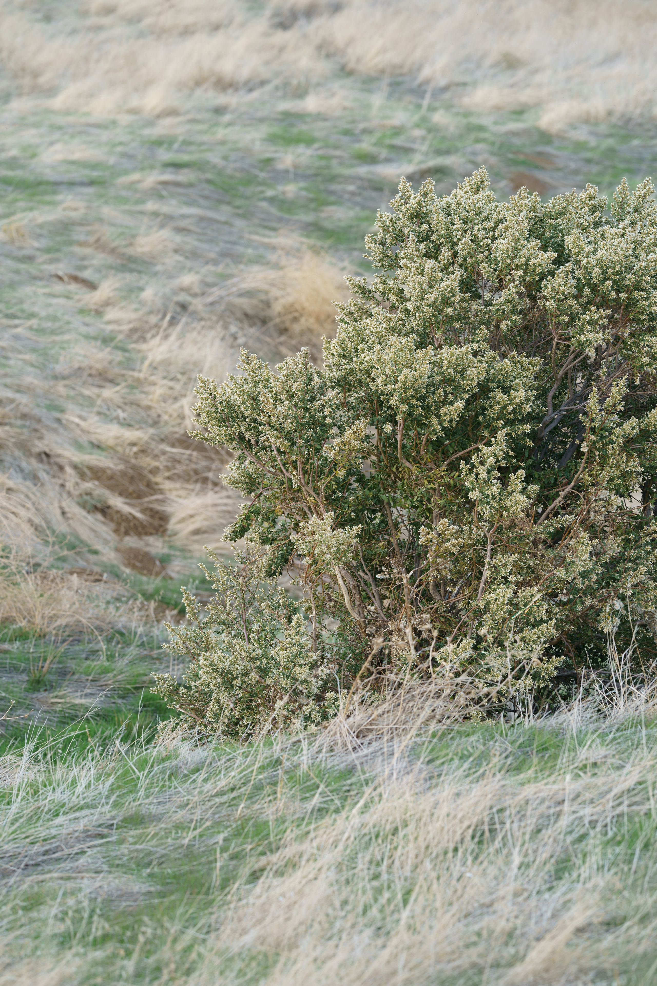 Los Vaqueros Reservoir. Tatiana Smirnova — Photographer