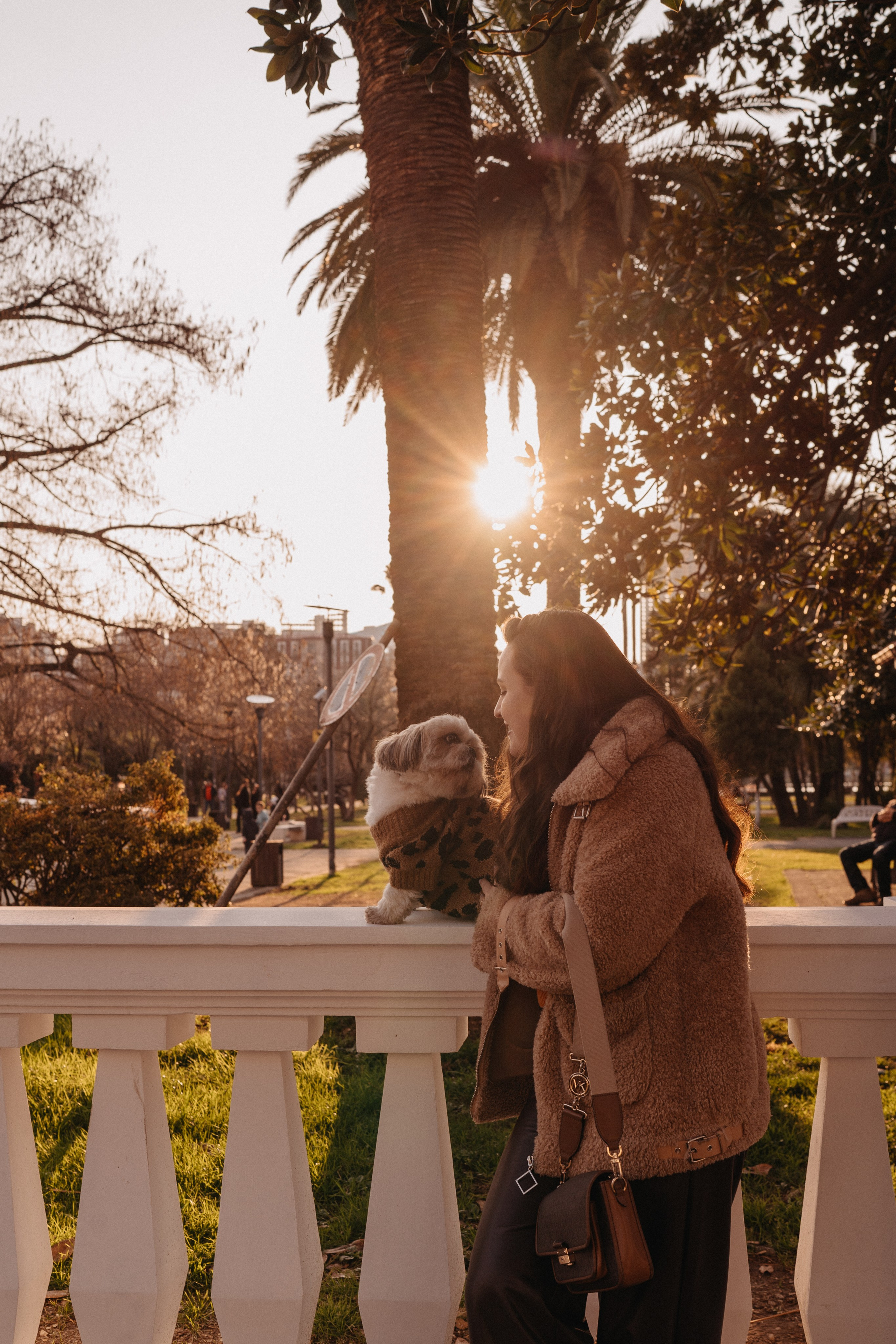 Фотосессия с собакой в Батуми. Портретный и свадебный фотограф в Батуми Валерия Азаренко
