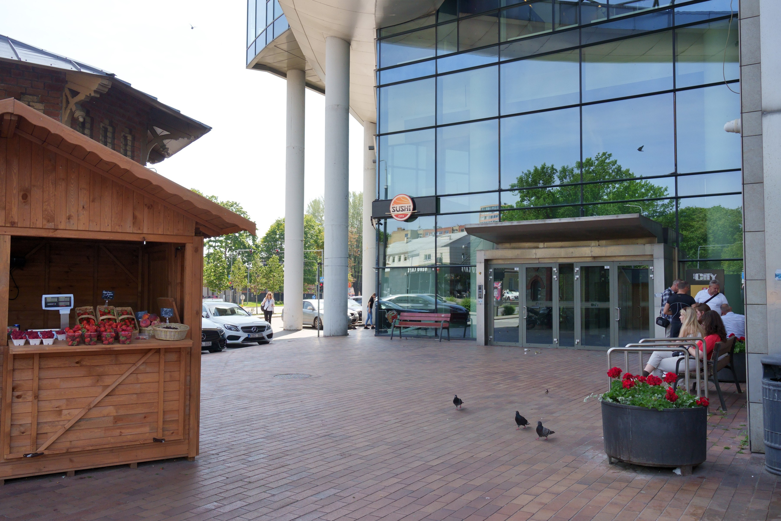 Savanorių g. 1. Elina Sapiega fotografė Vilniuje