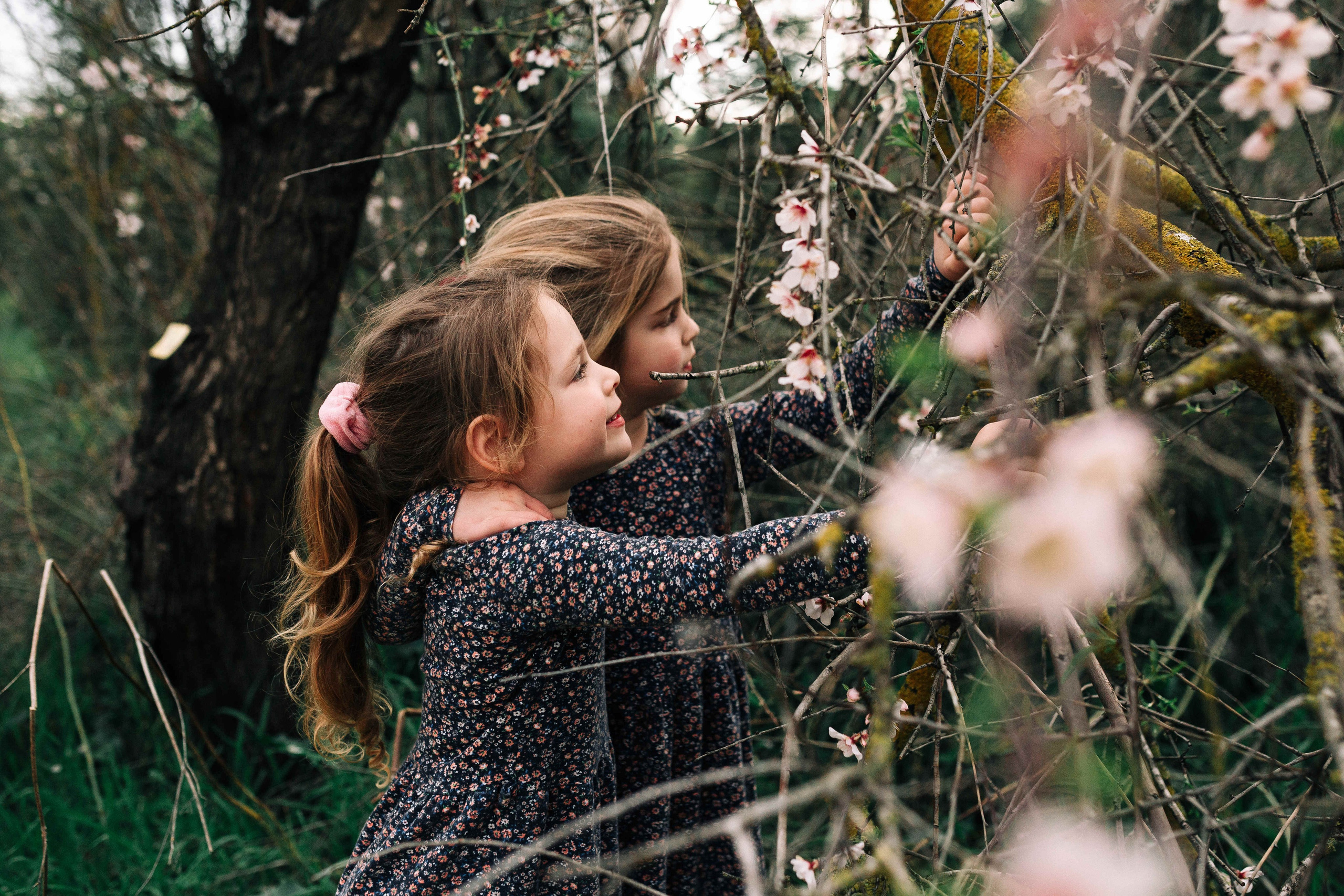 END OF WINTER. Https://shi-photo.com/