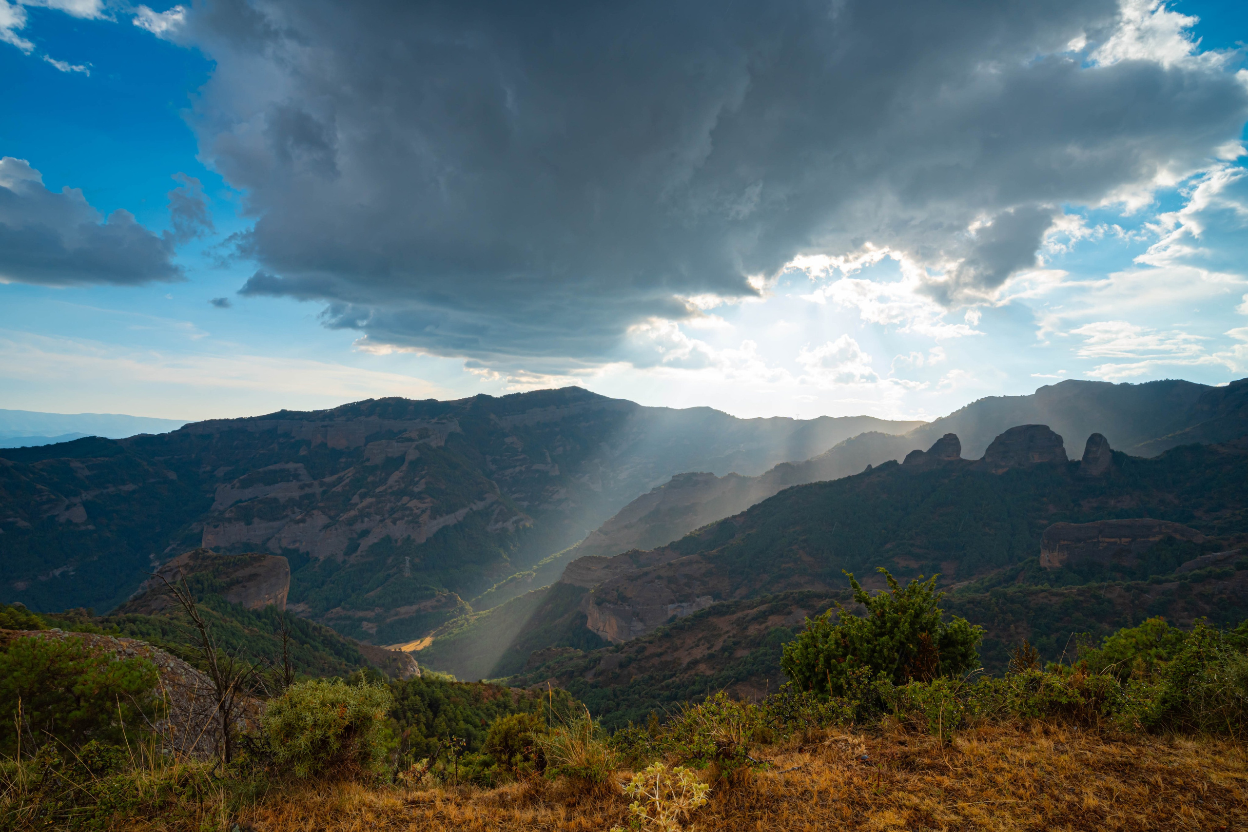 Lila. Alba del Norte Studio