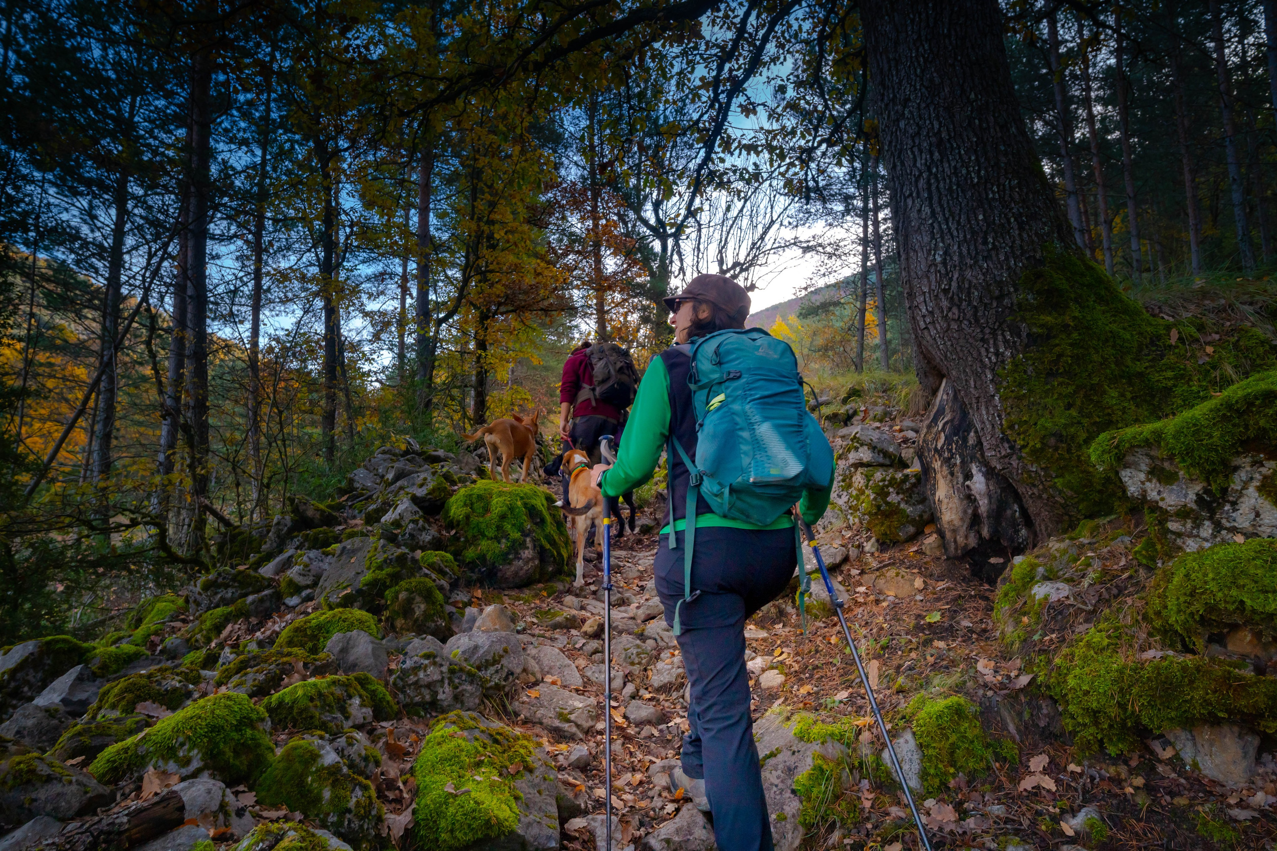 Ruta Otoño. Alba del Norte Studio
