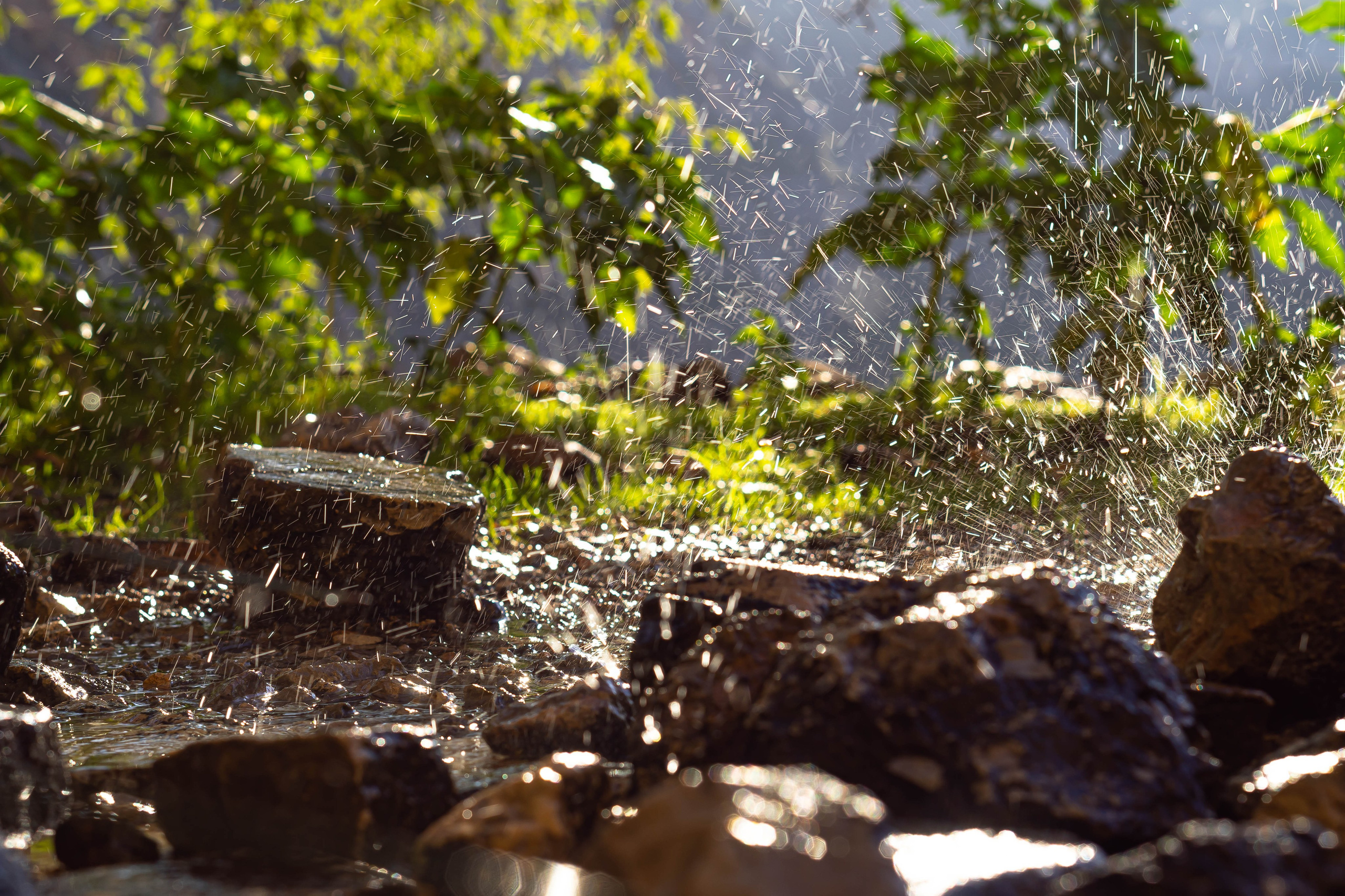 Bocetos. Alba del Norte Studio