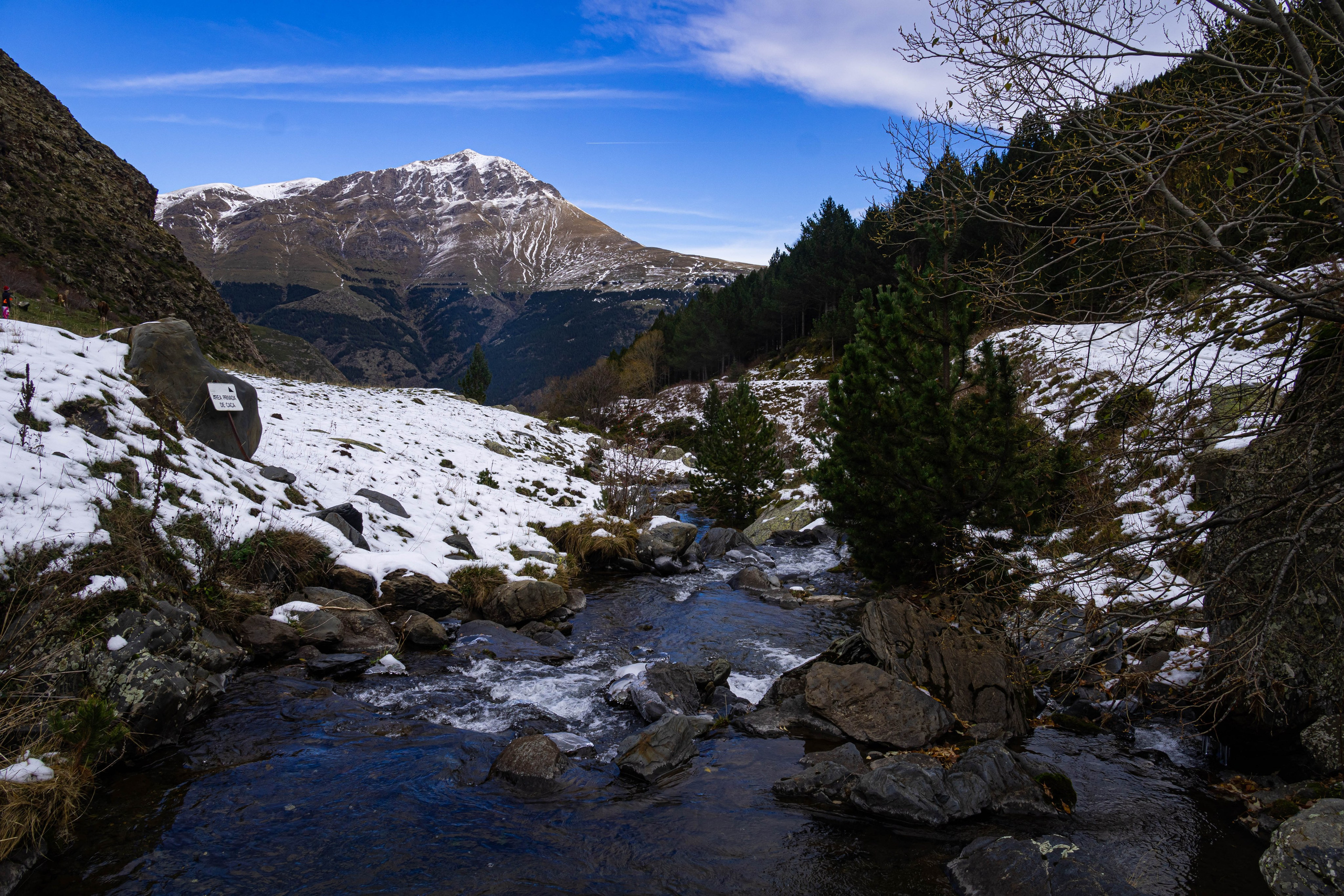 Filia. Alba del Norte Studio
