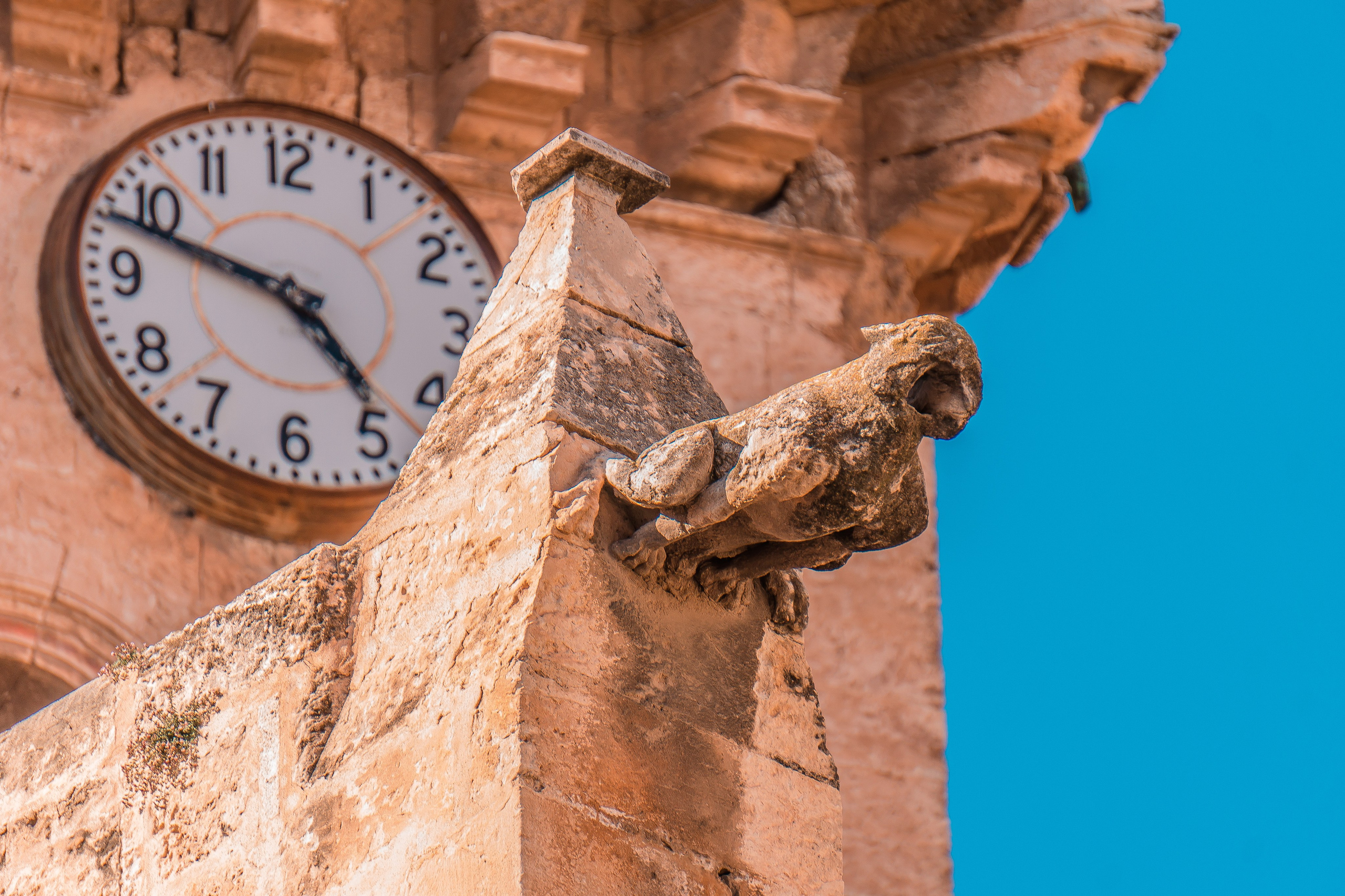 Villena. Alba del Norte Studio