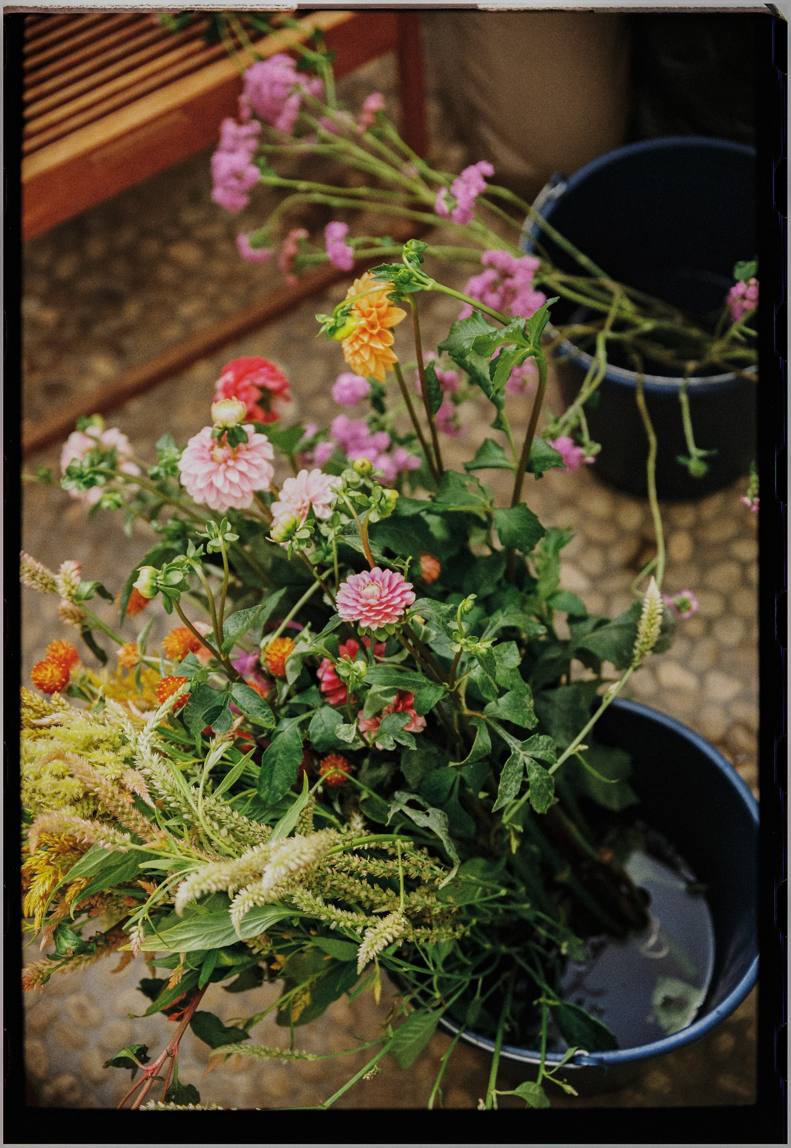 Photography: Kamila Solarz