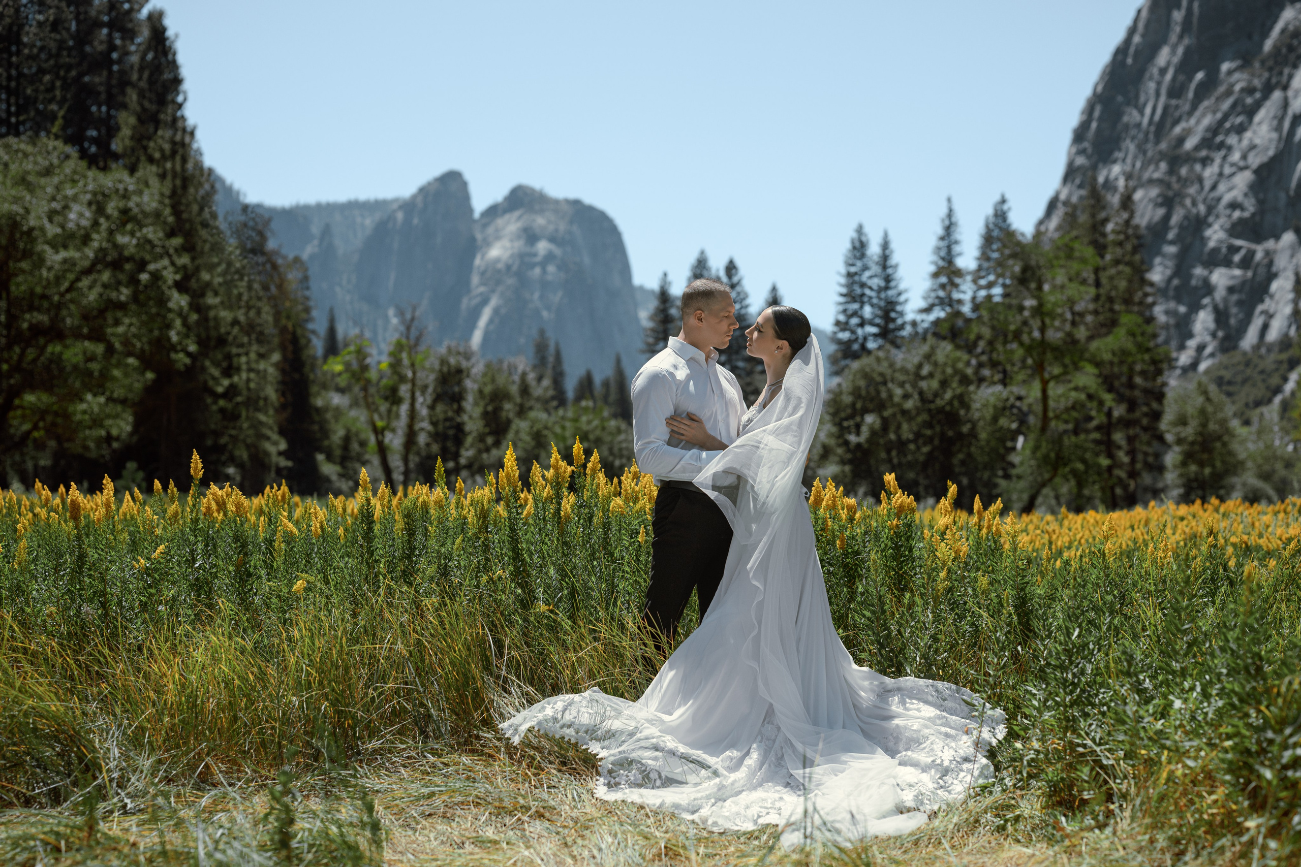 Yosemite Elopement. Wedding & Elopement Photographers in California